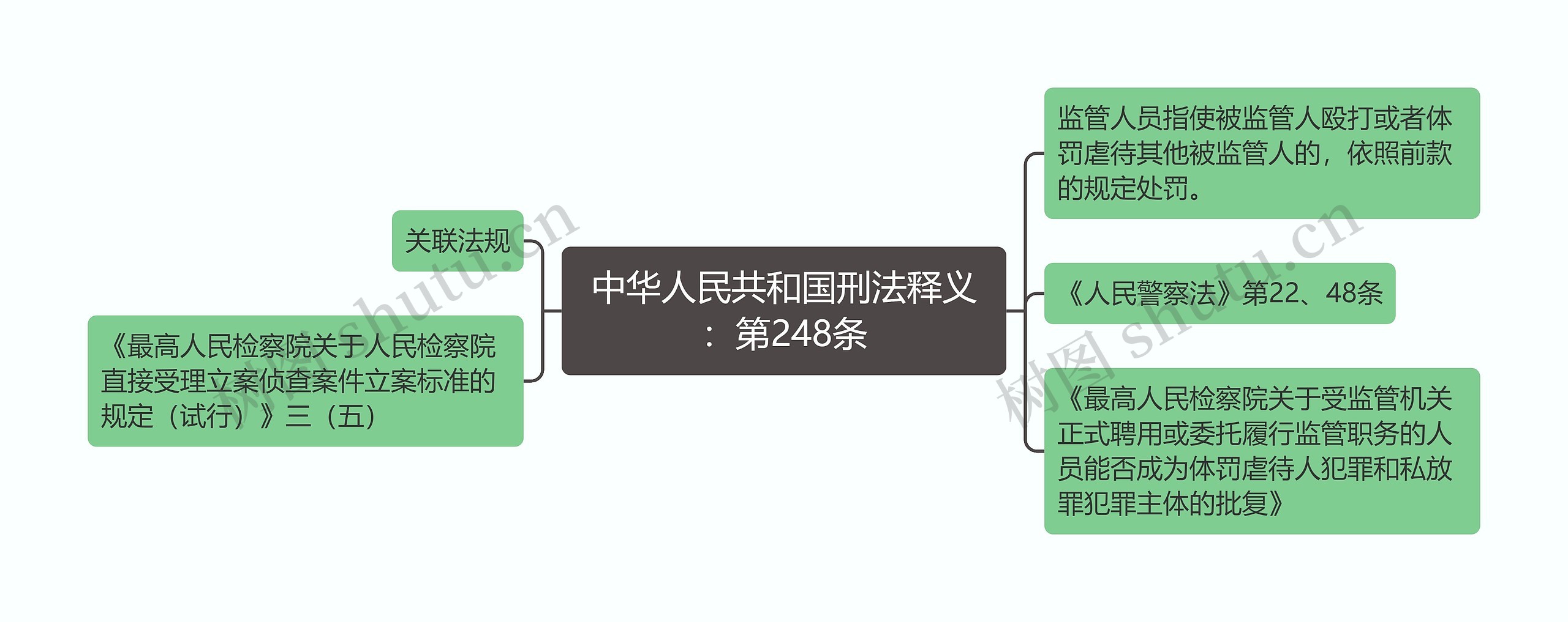 中华人民共和国刑法释义：第248条思维导图