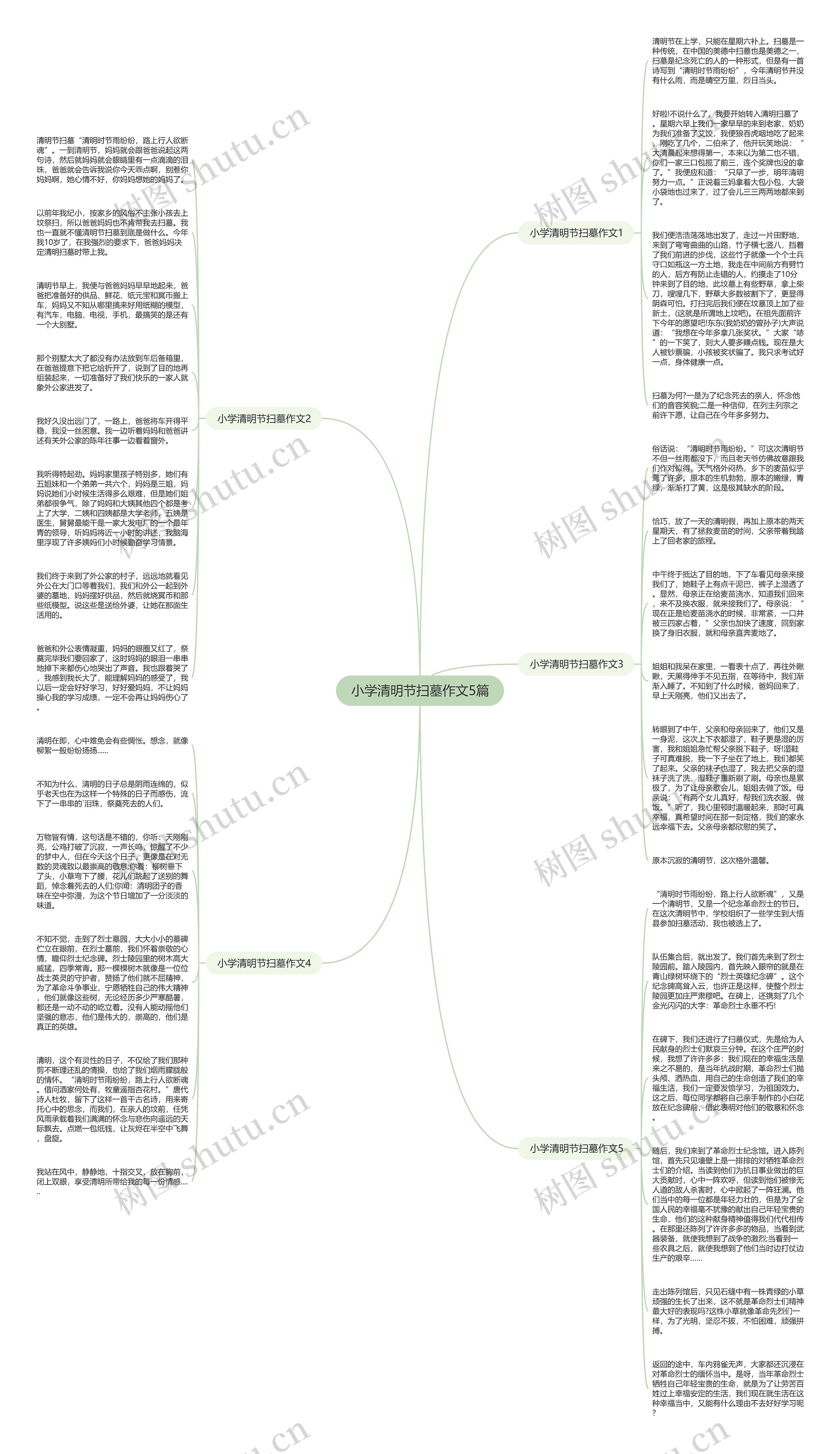 小学清明节扫墓作文5篇思维导图