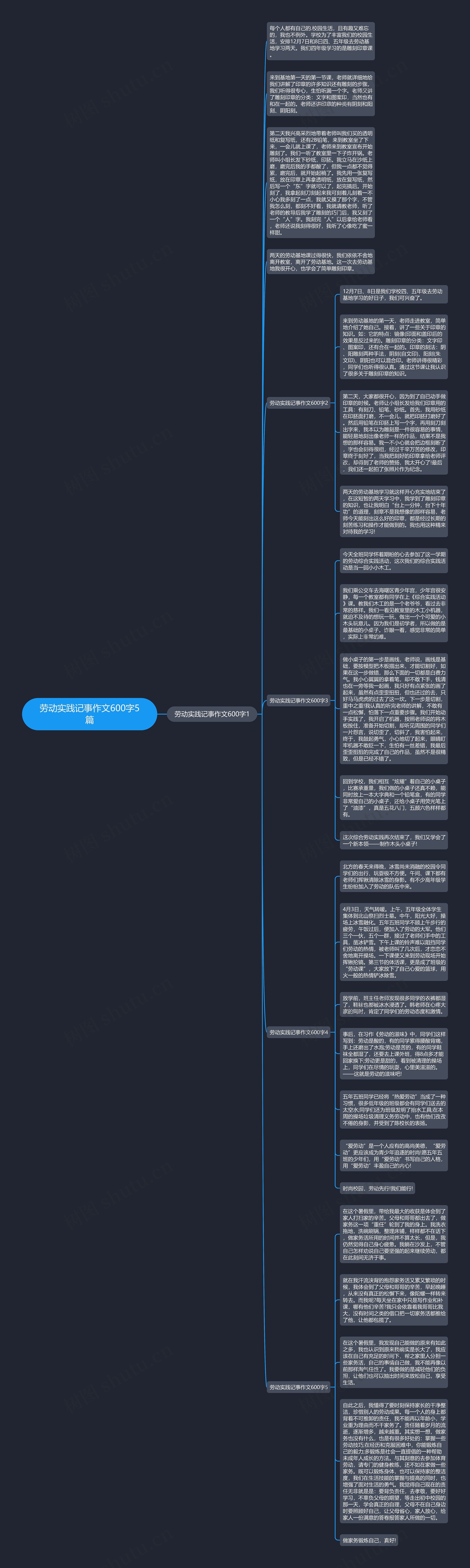 劳动实践记事作文600字5篇