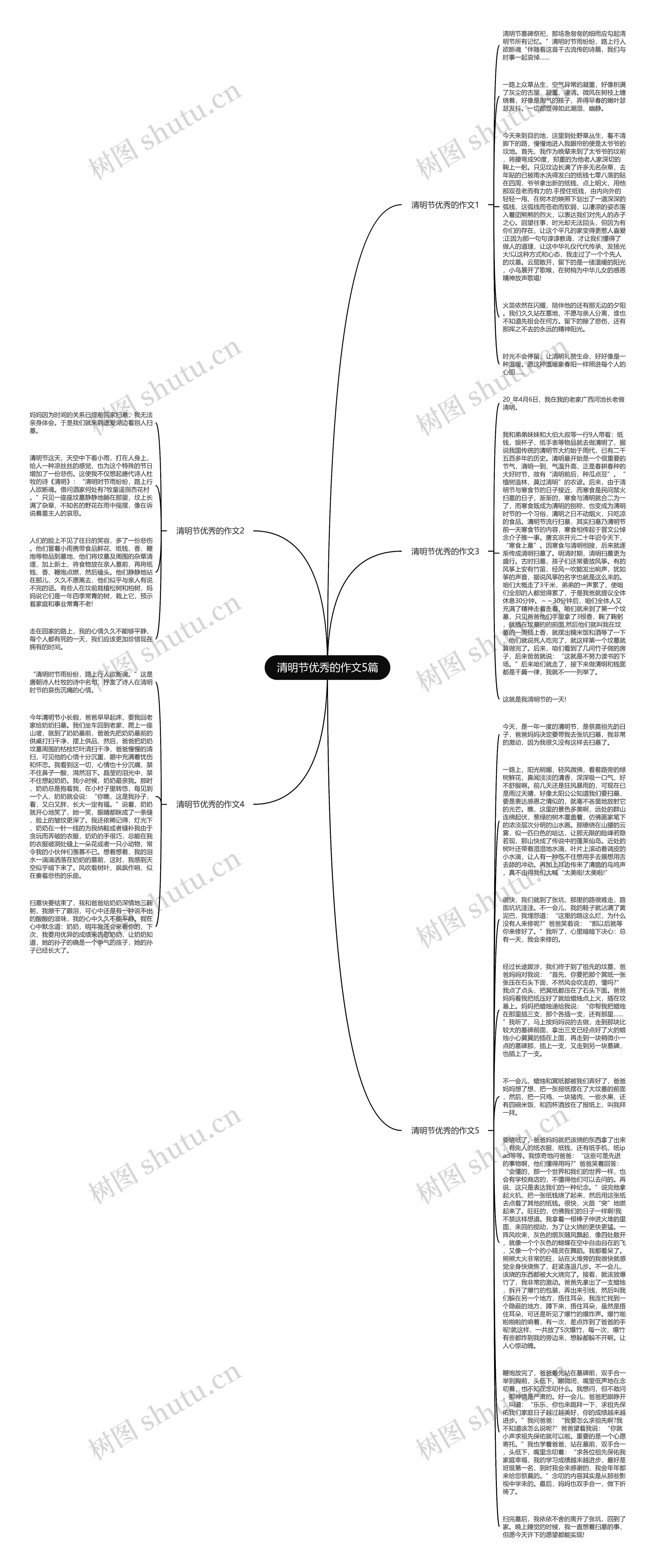 清明节优秀的作文5篇思维导图