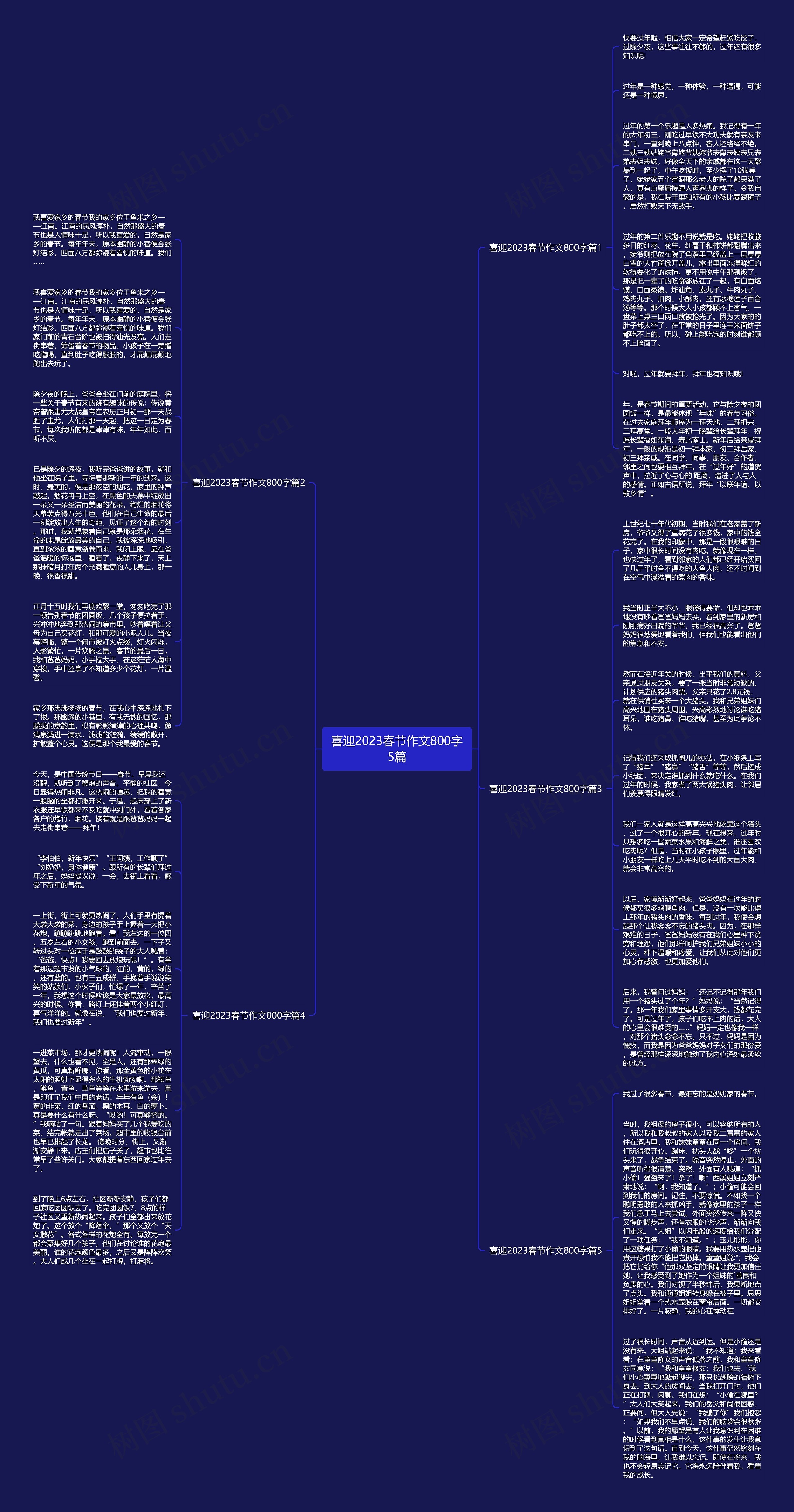 喜迎2023春节作文800字5篇思维导图