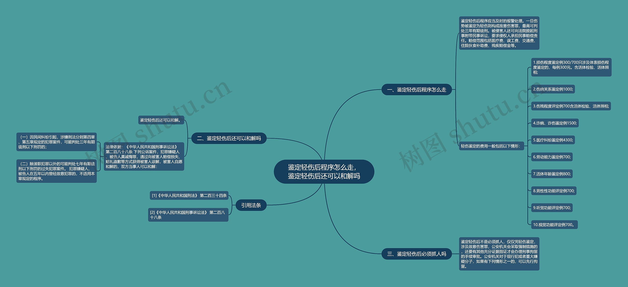 鉴定轻伤后程序怎么走，鉴定轻伤后还可以和解吗思维导图