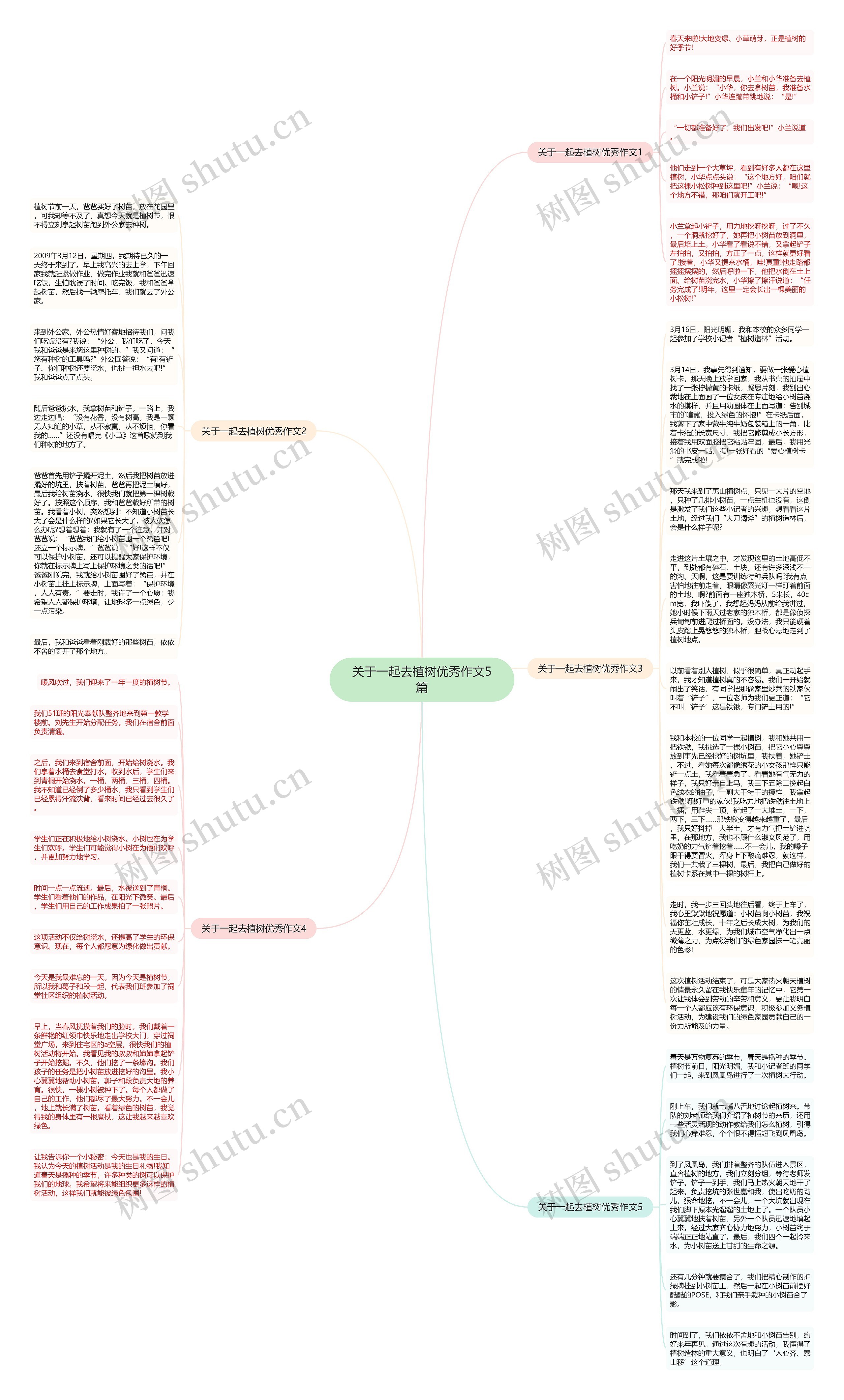 关于一起去植树优秀作文5篇思维导图