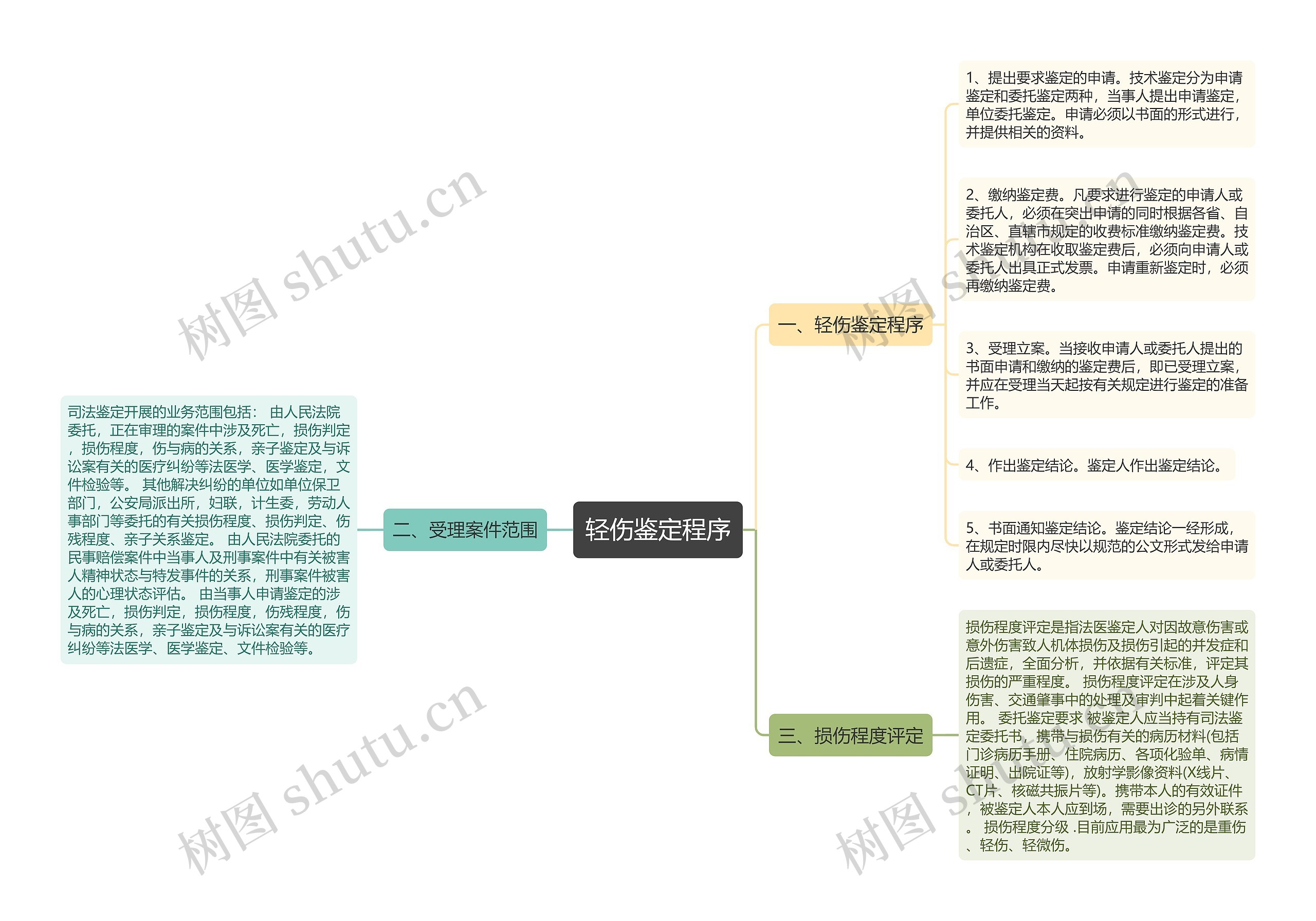 轻伤鉴定程序思维导图