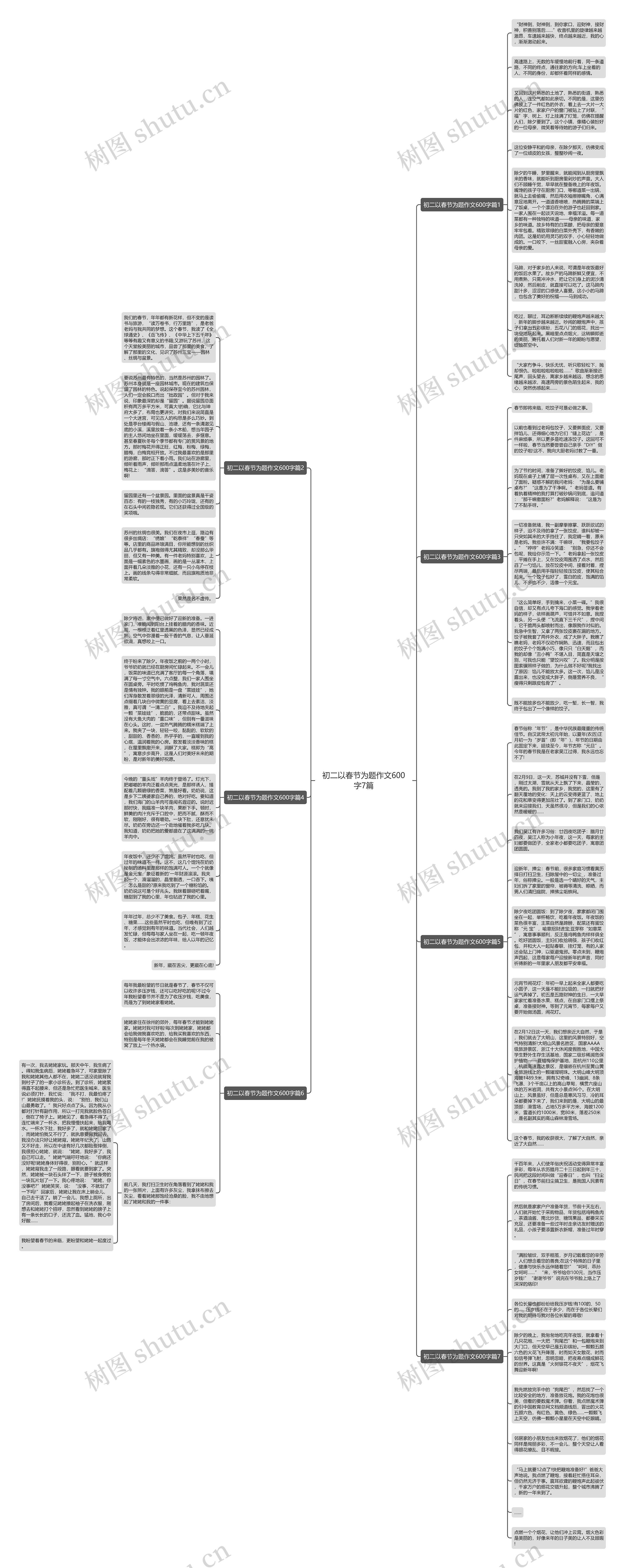 初二以春节为题作文600字7篇思维导图