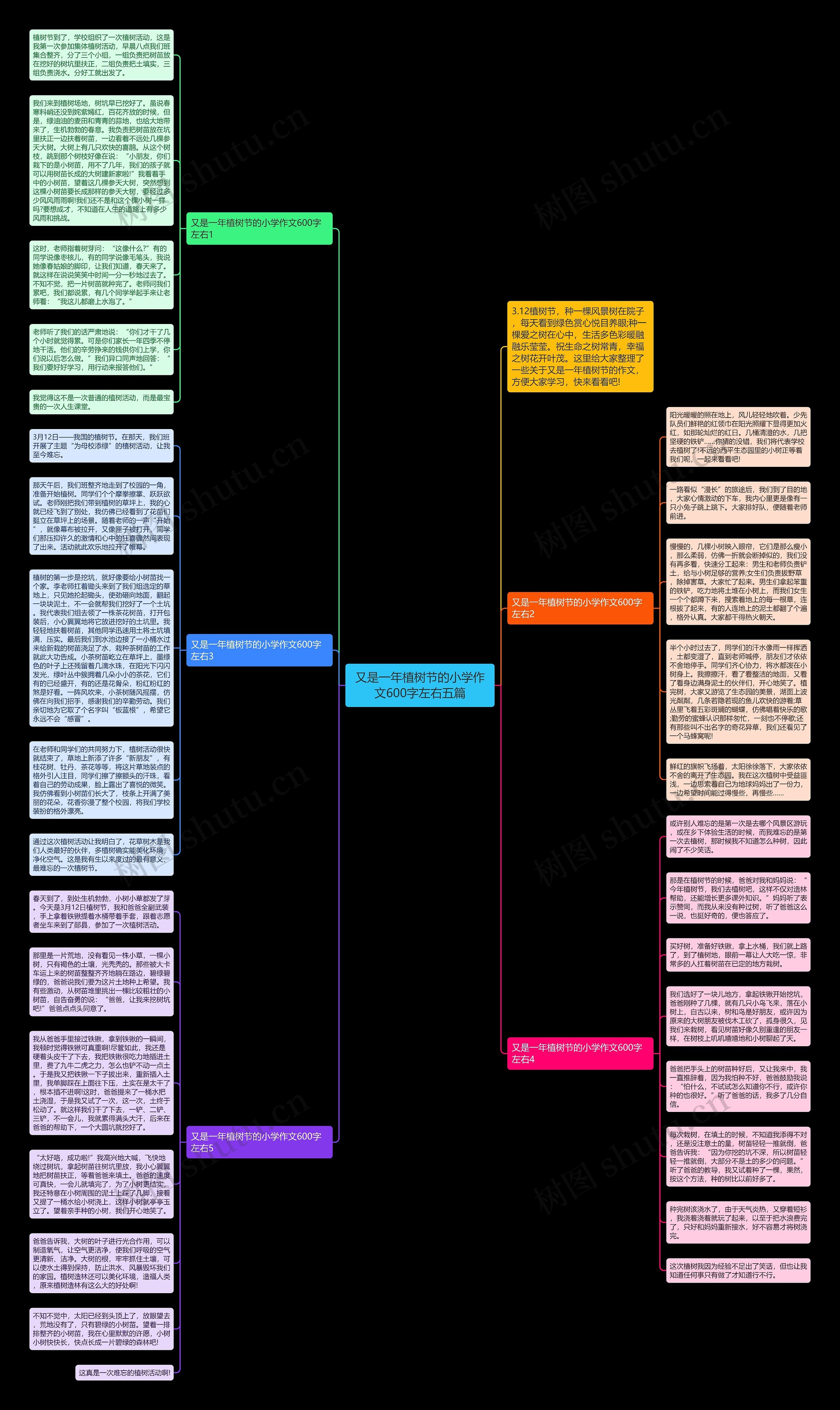 又是一年植树节的小学作文600字左右五篇思维导图