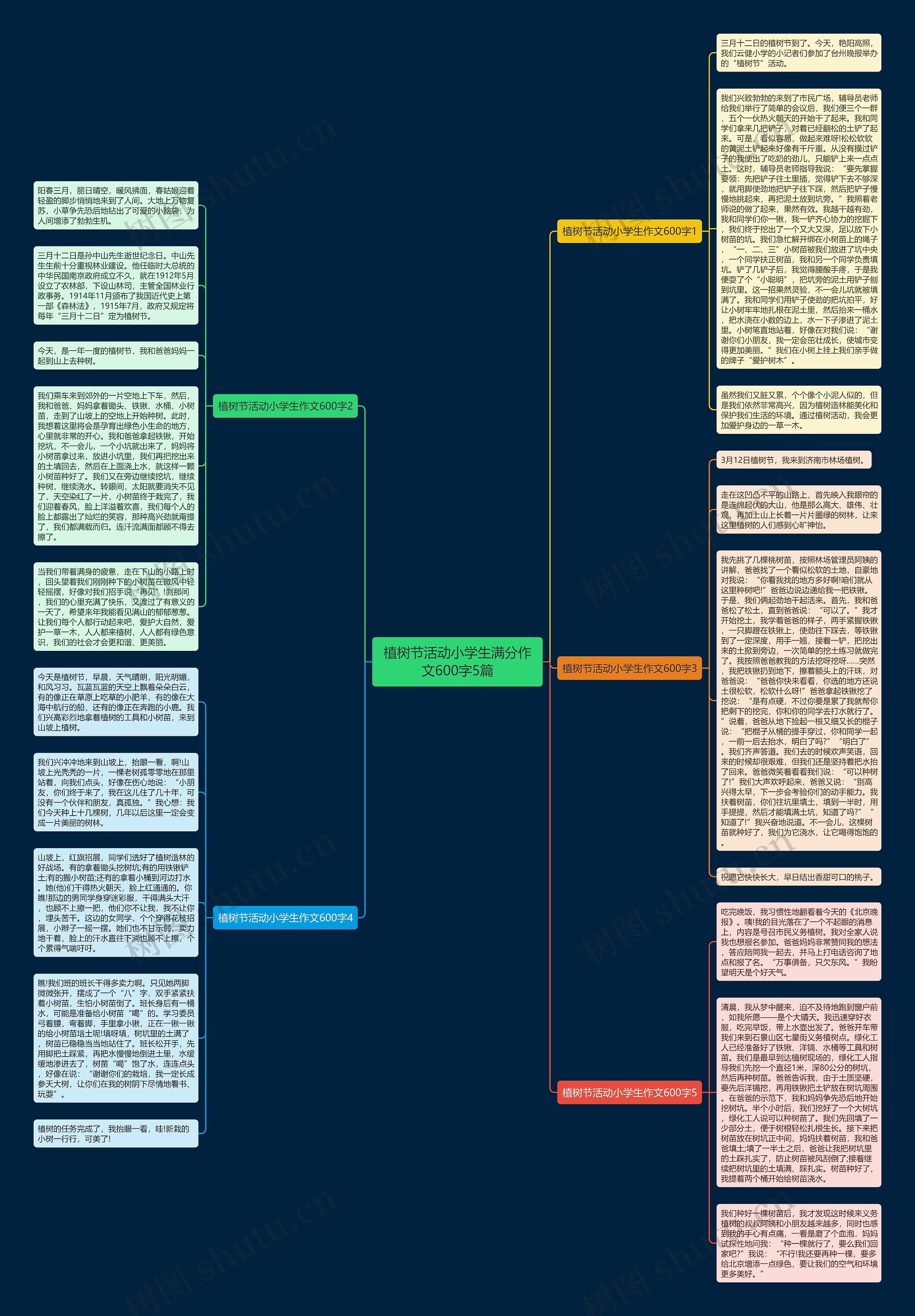 植树节活动小学生满分作文600字5篇思维导图