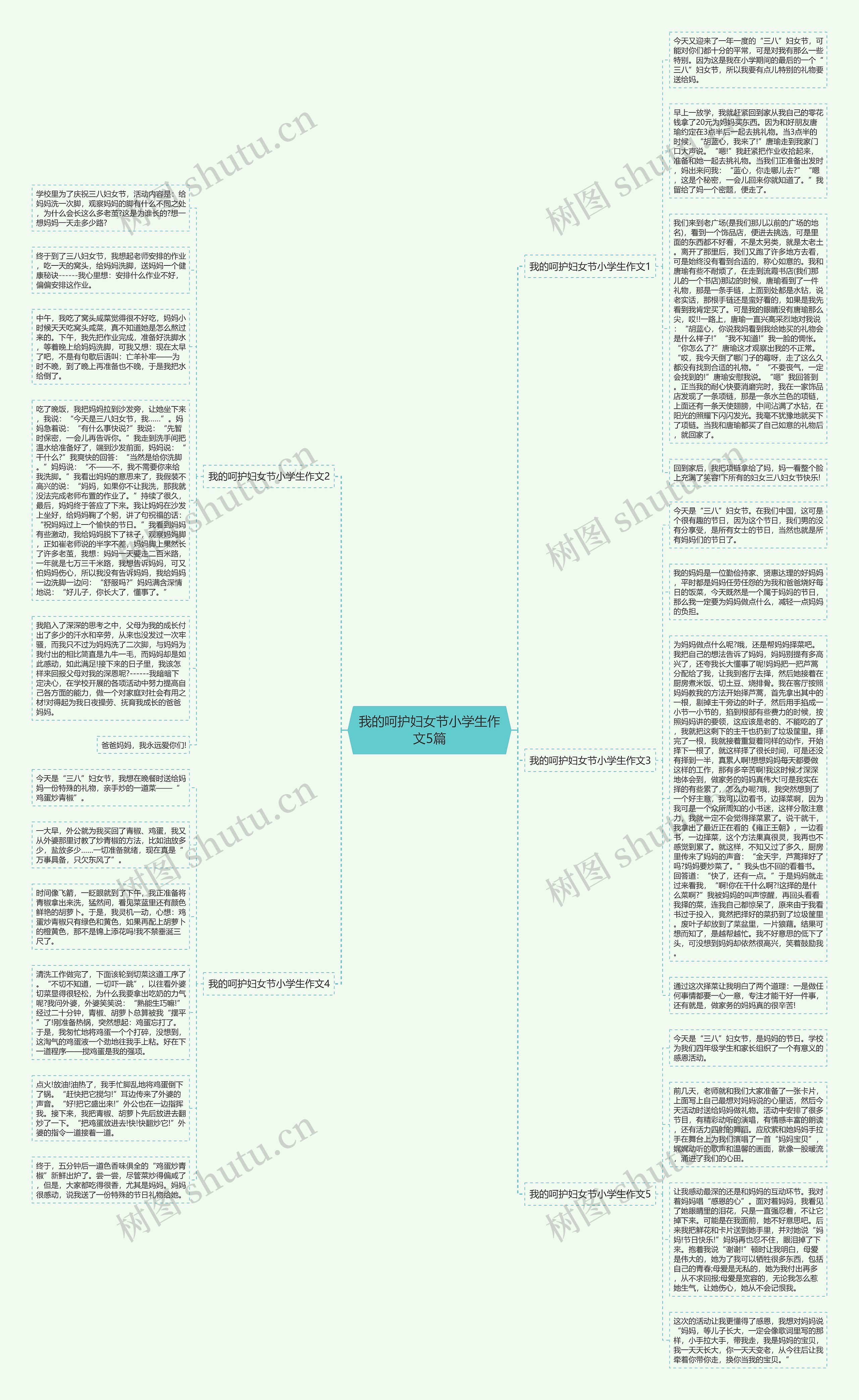 我的呵护妇女节小学生作文5篇思维导图