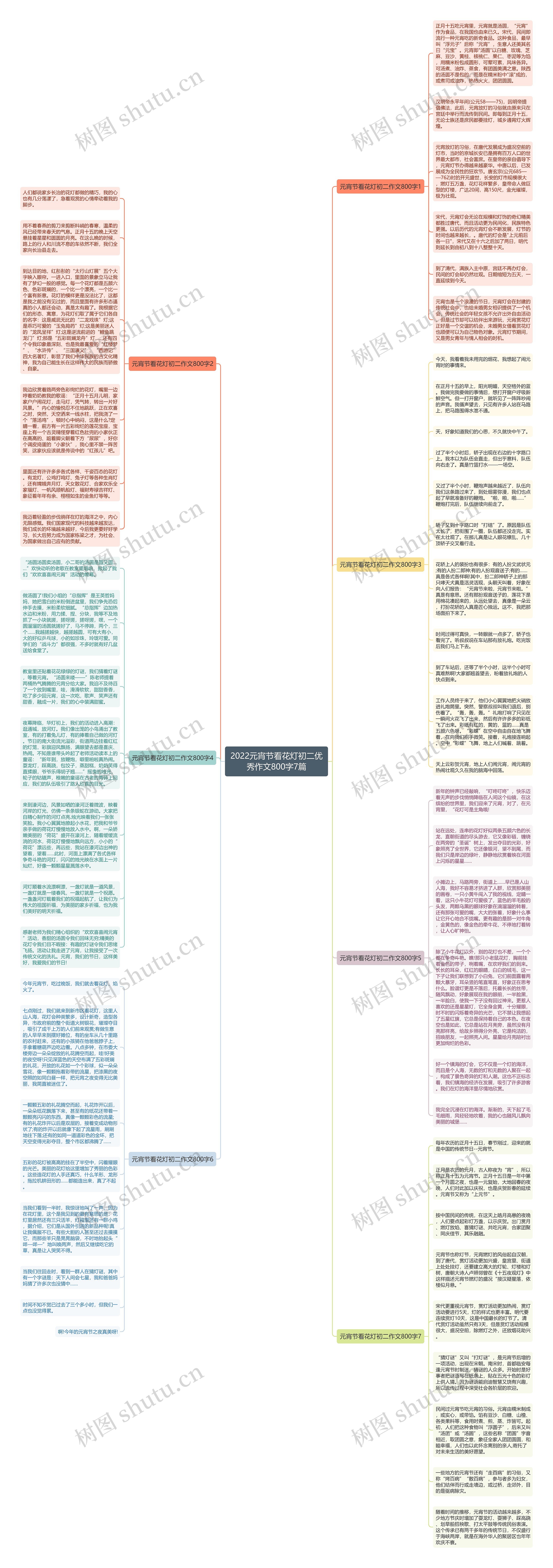 2022元宵节看花灯初二优秀作文800字7篇思维导图
