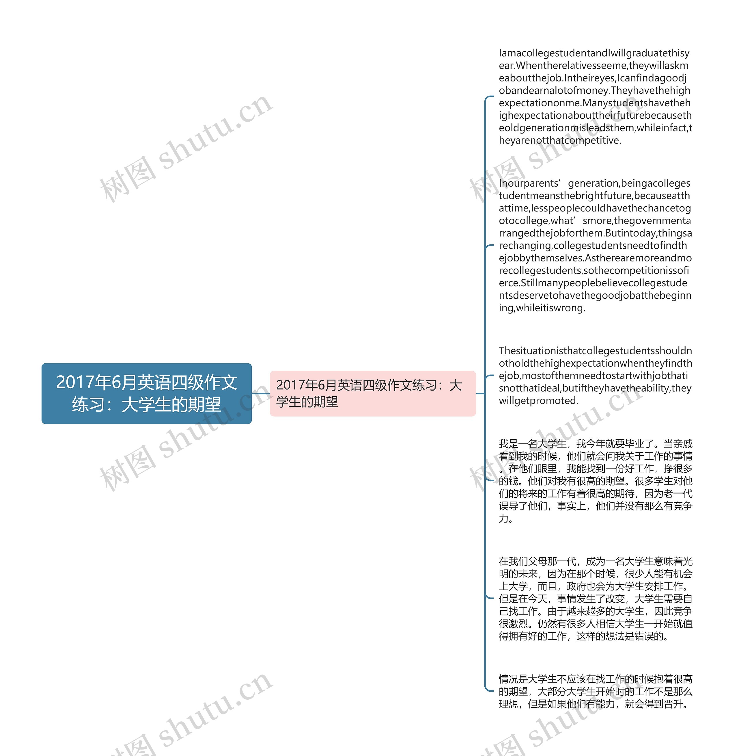 2017年6月英语四级作文练习：大学生的期望思维导图