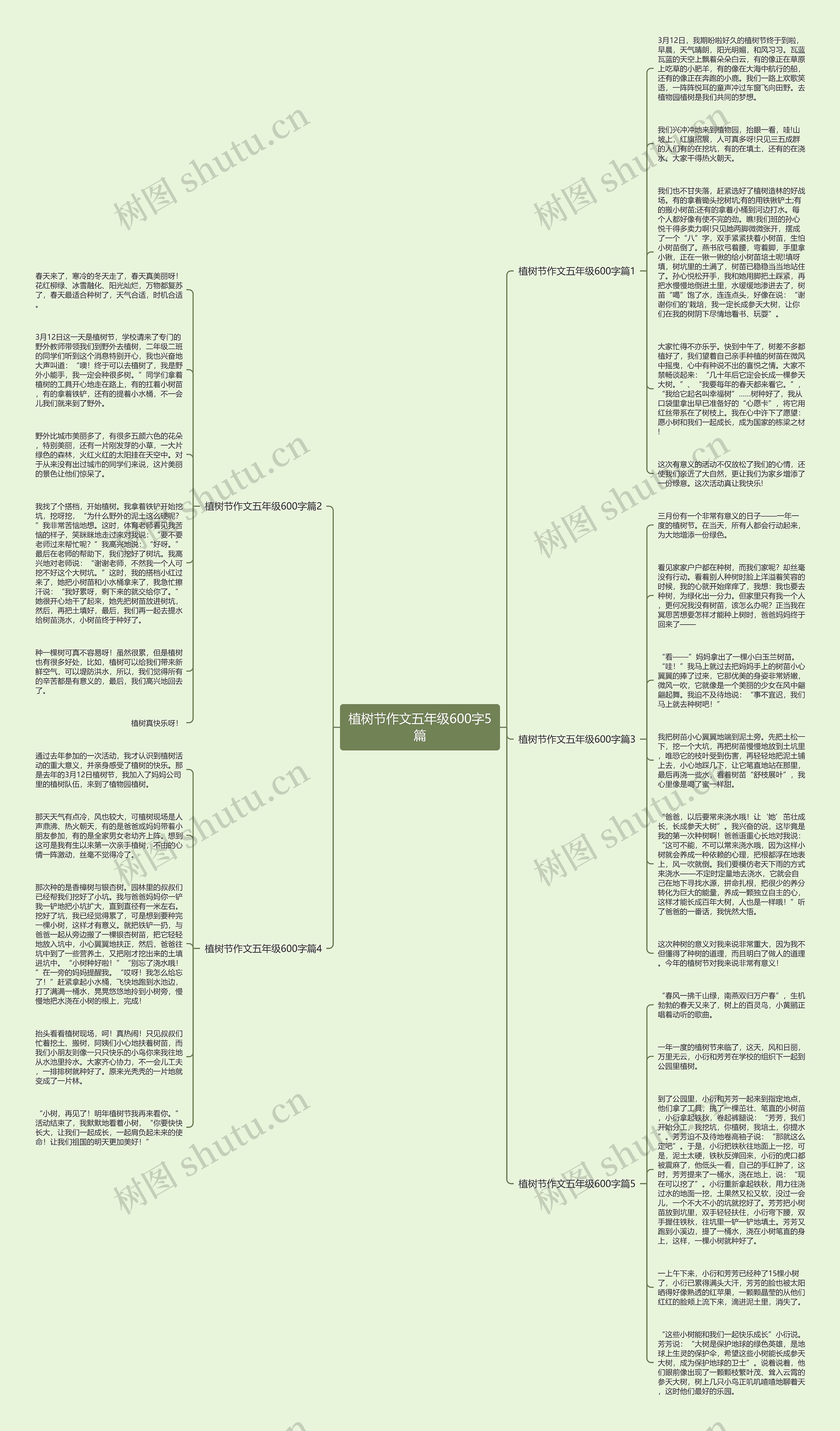 植树节作文五年级600字5篇思维导图