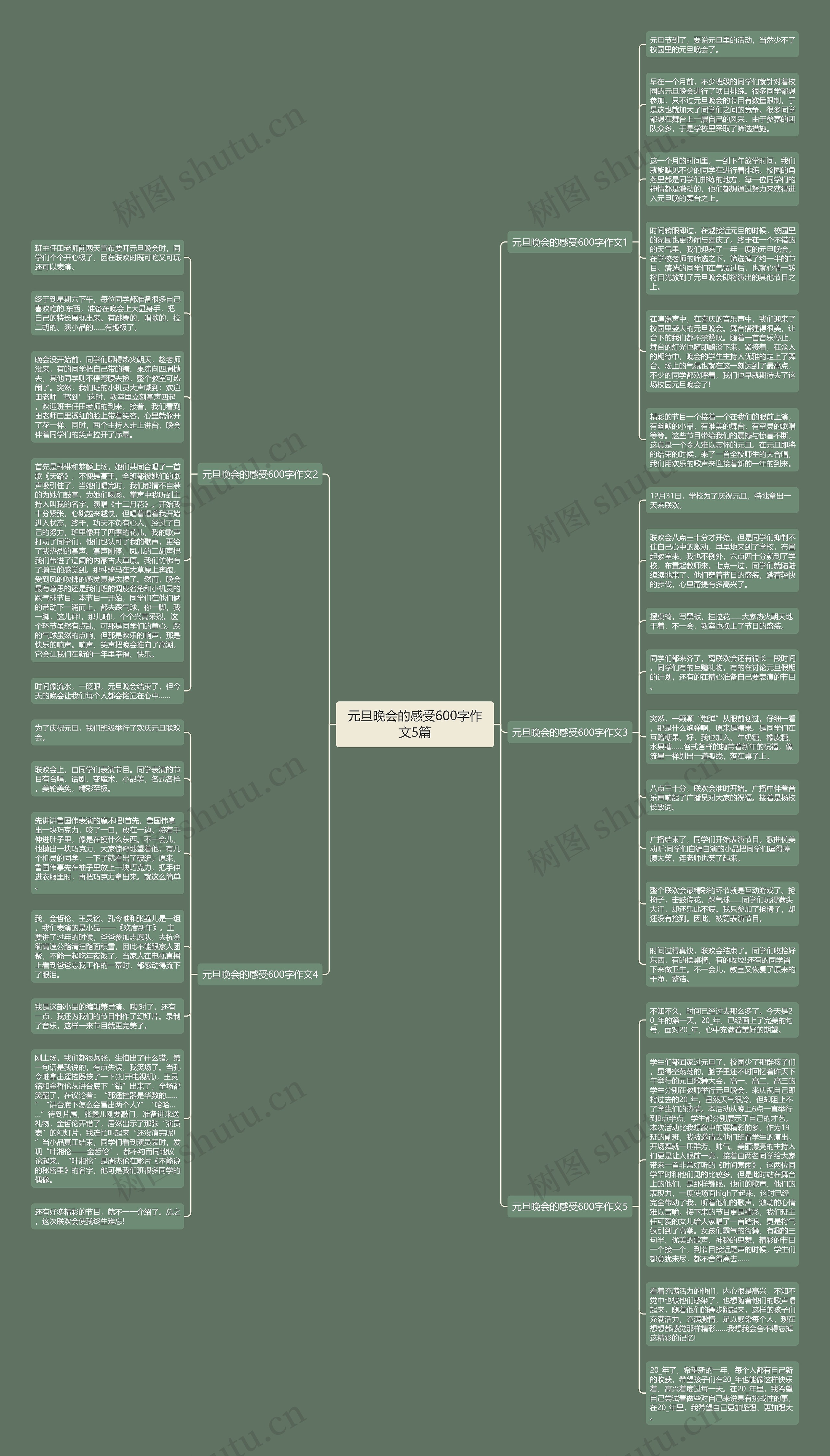 元旦晚会的感受600字作文5篇思维导图