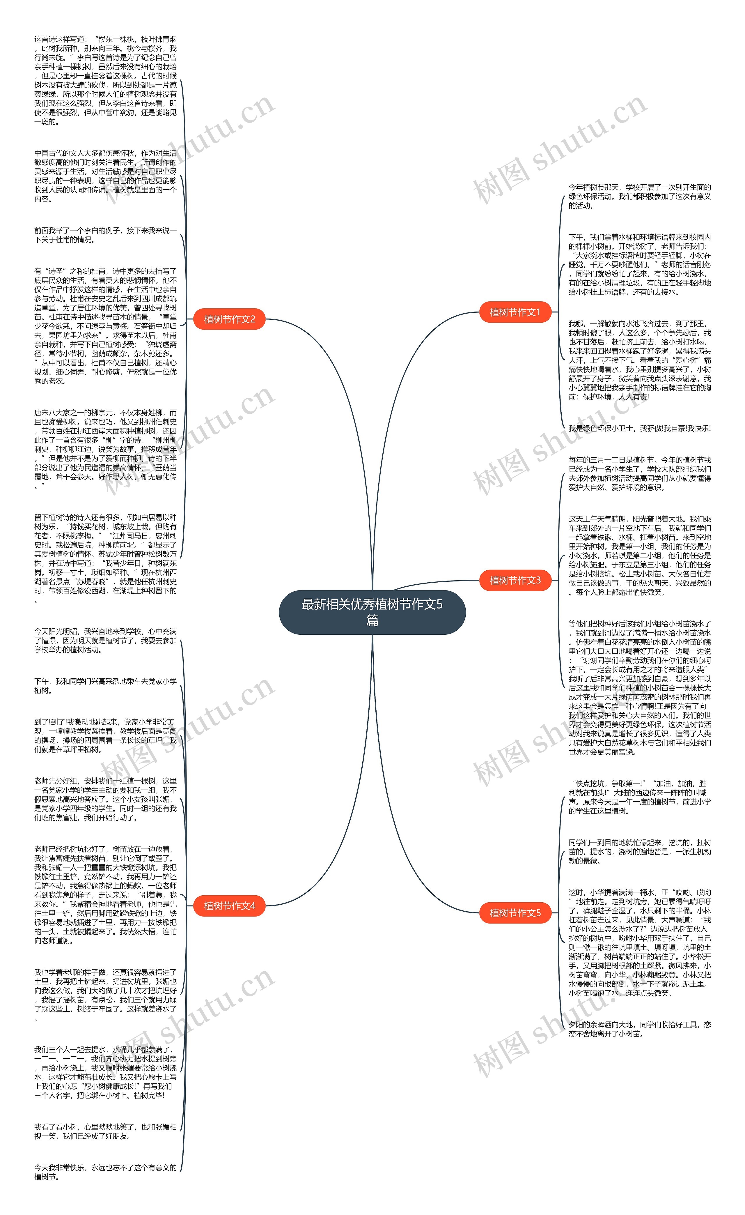 最新相关优秀植树节作文5篇思维导图