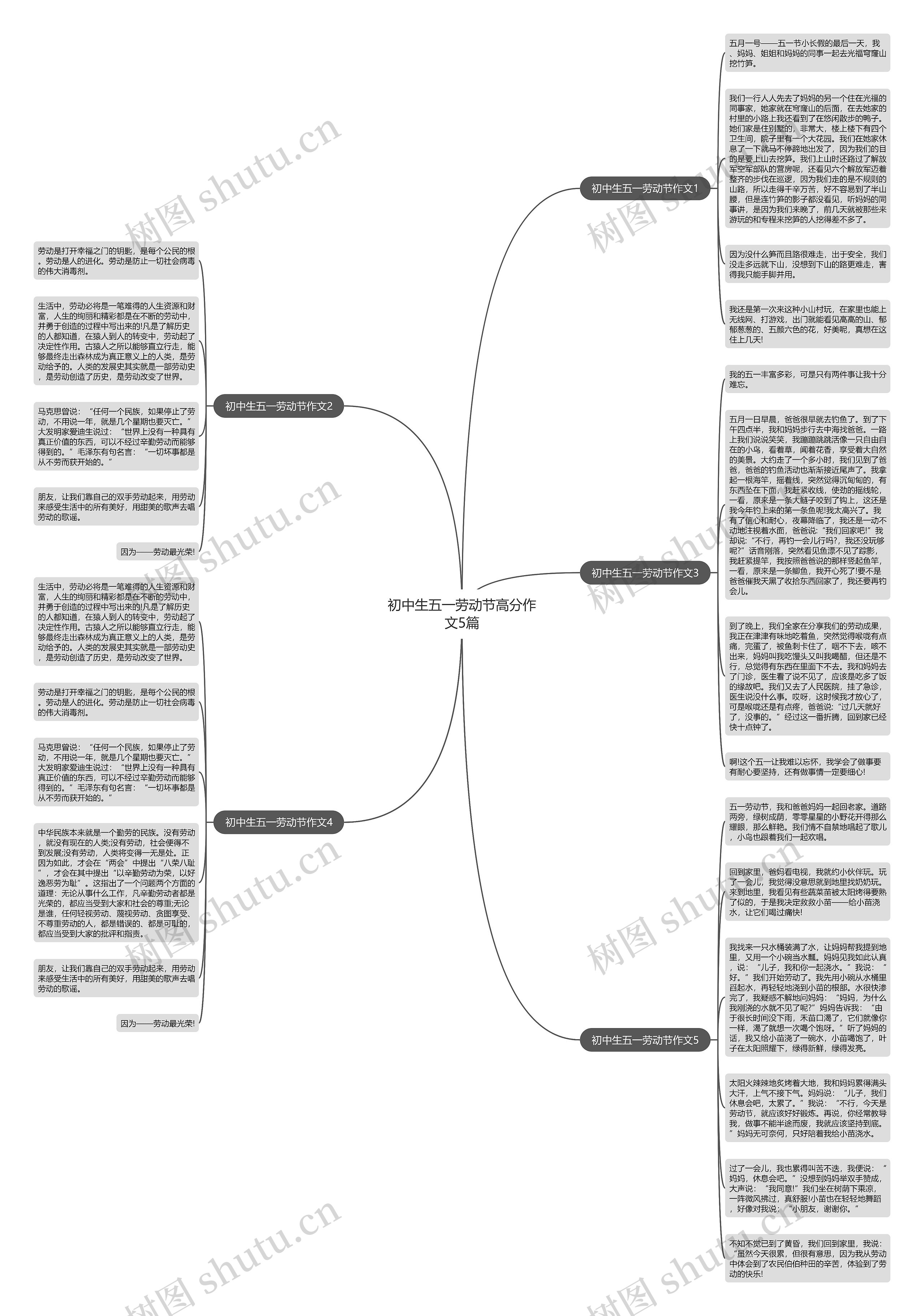初中生五一劳动节高分作文5篇思维导图