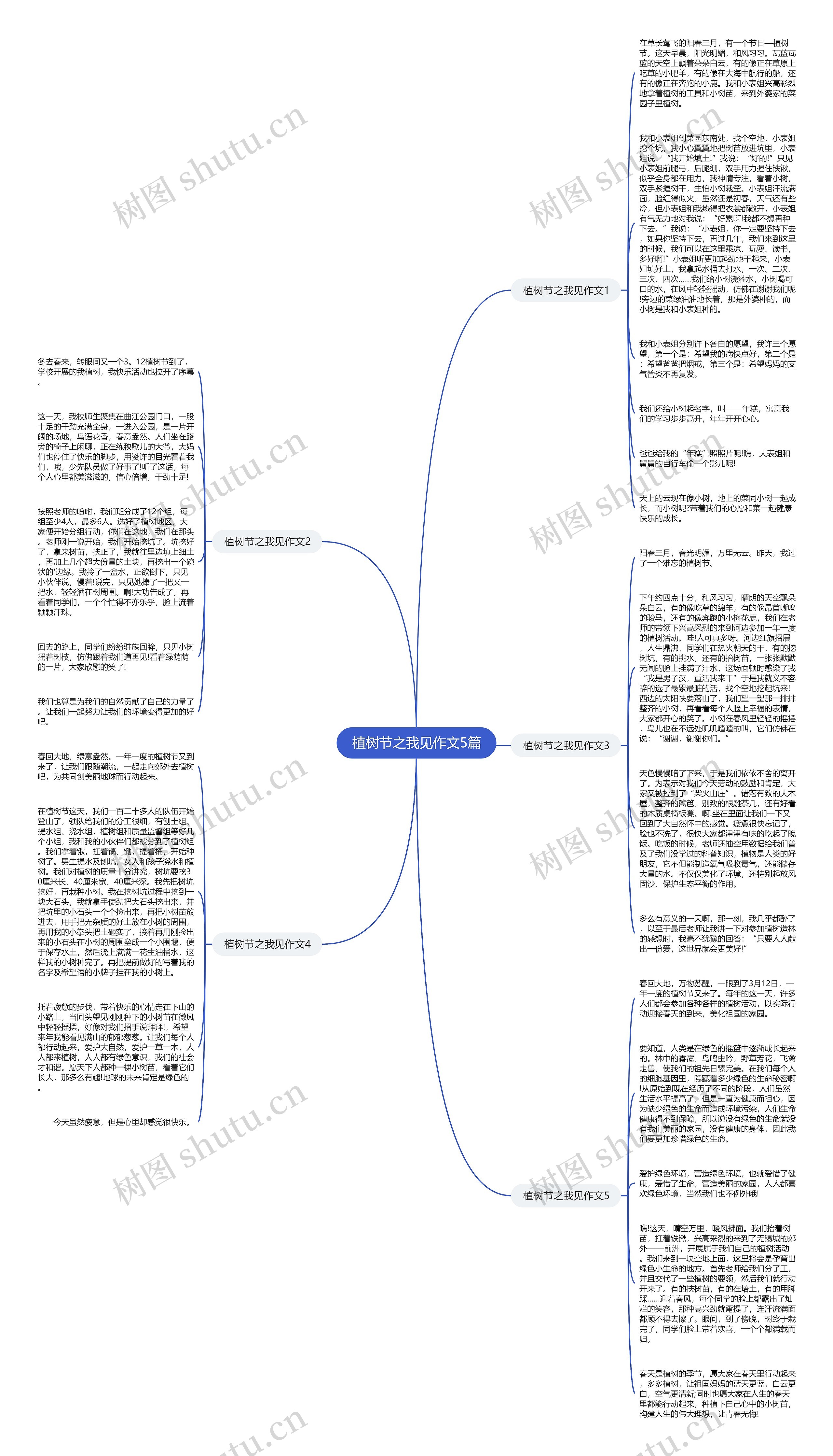 植树节之我见作文5篇思维导图
