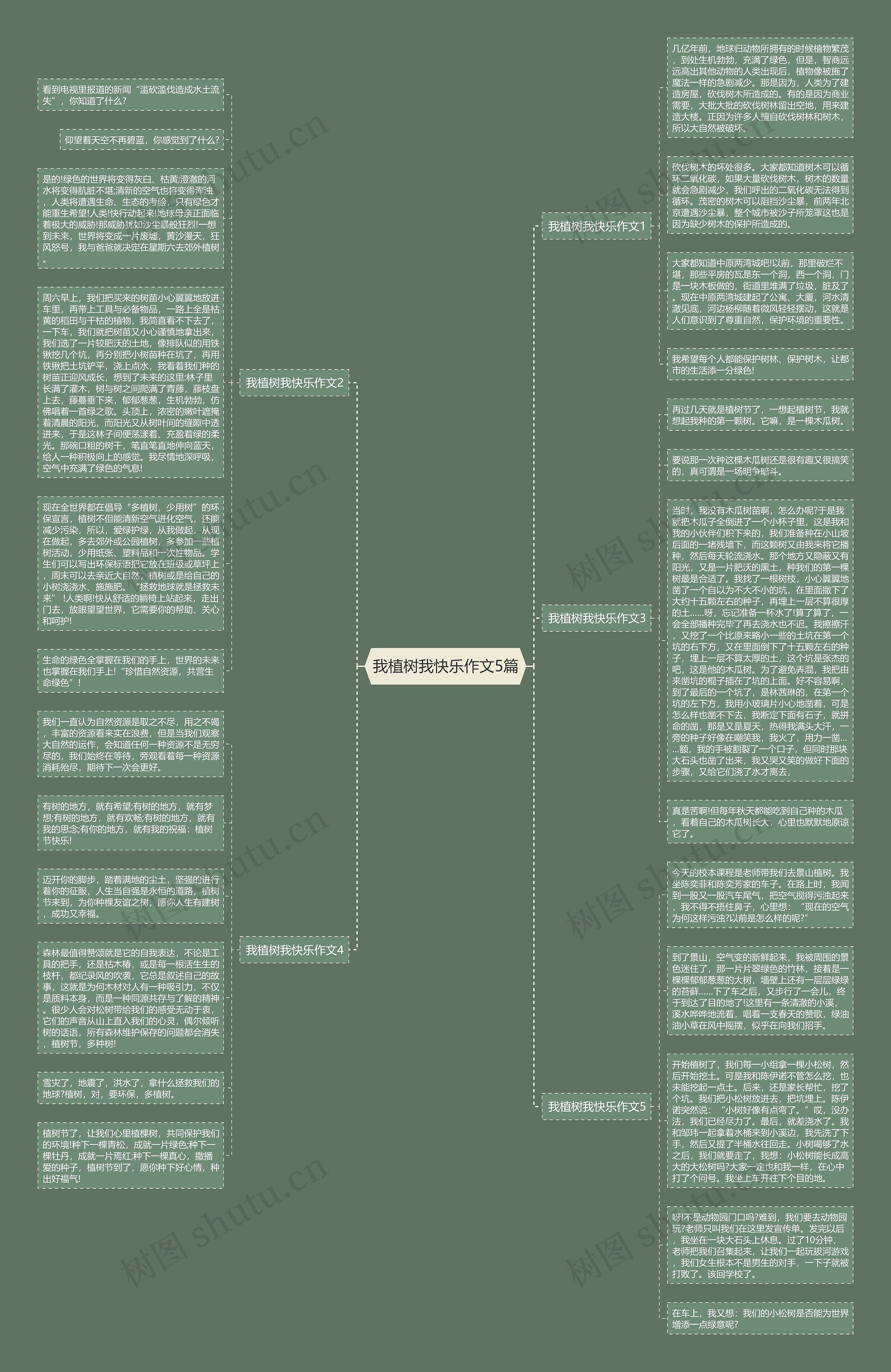 我植树我快乐作文5篇思维导图
