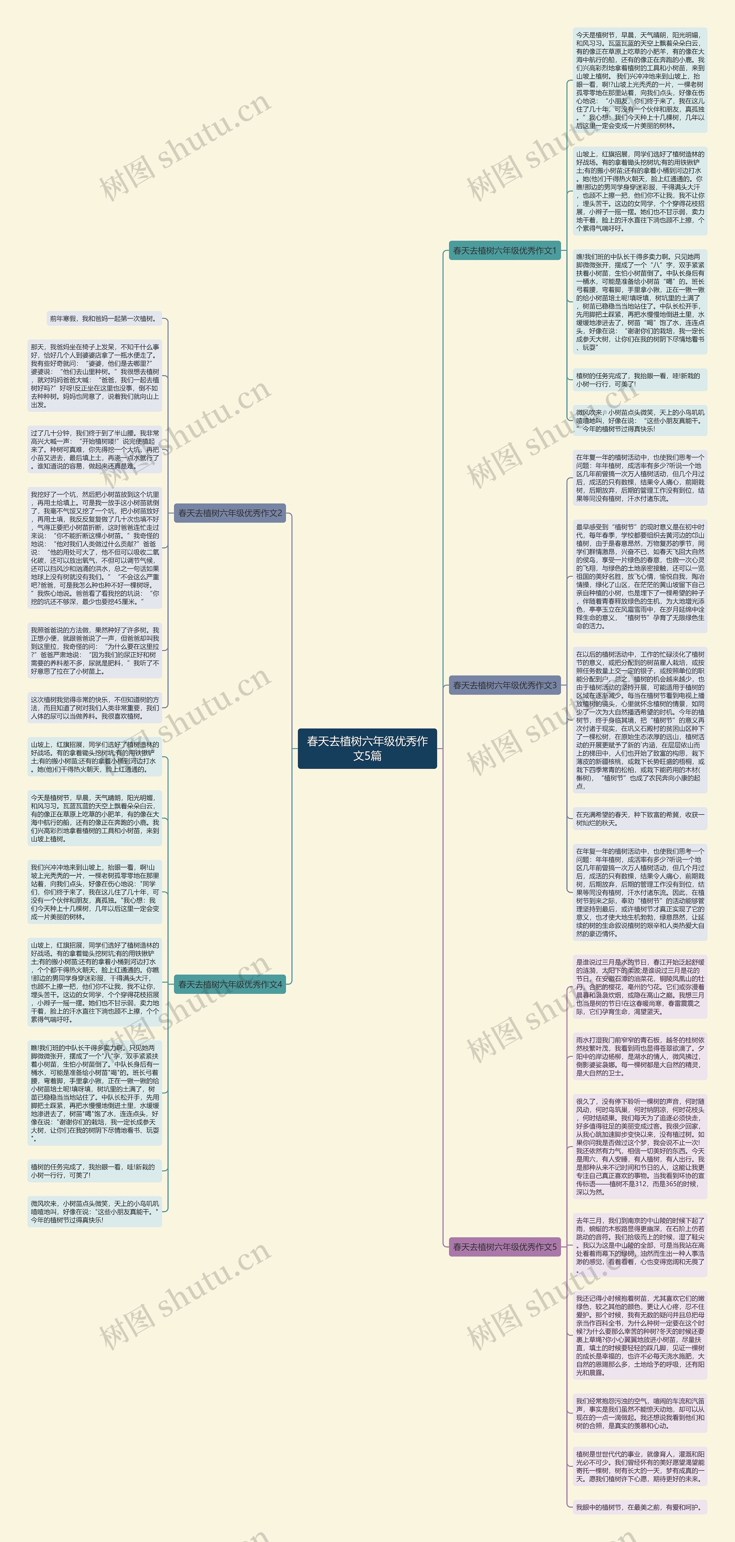 春天去植树六年级优秀作文5篇思维导图