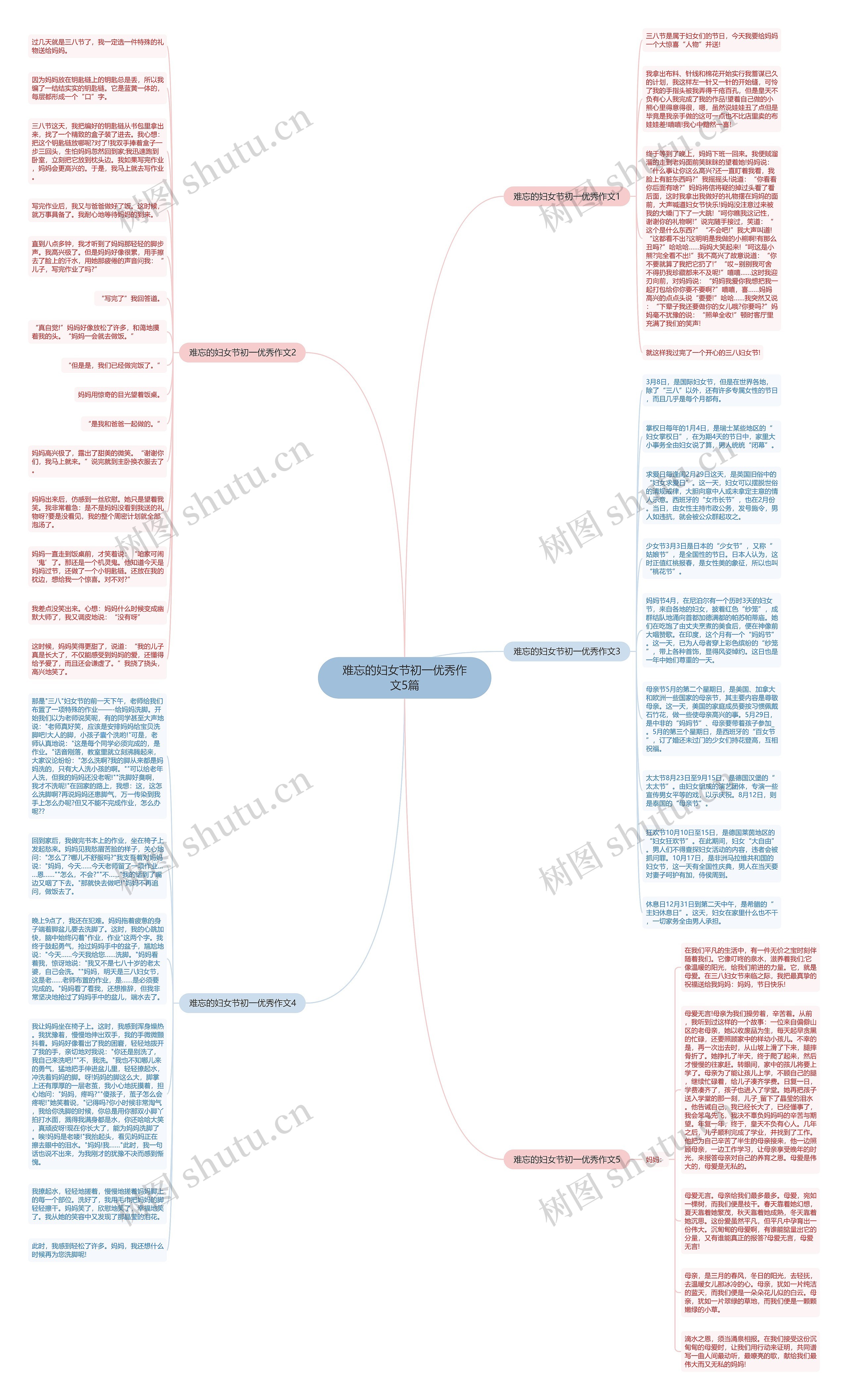 难忘的妇女节初一优秀作文5篇思维导图