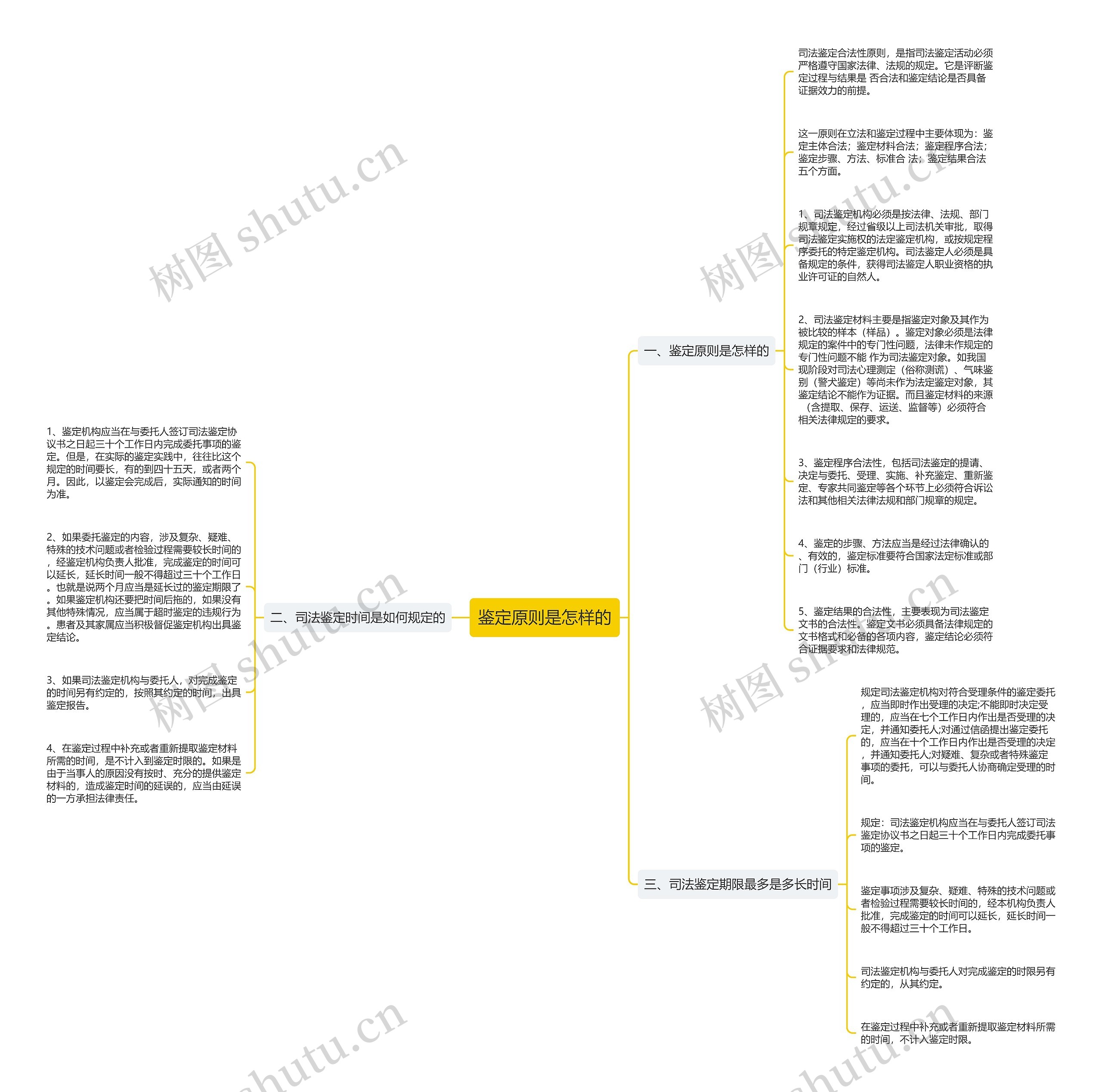 鉴定原则是怎样的思维导图