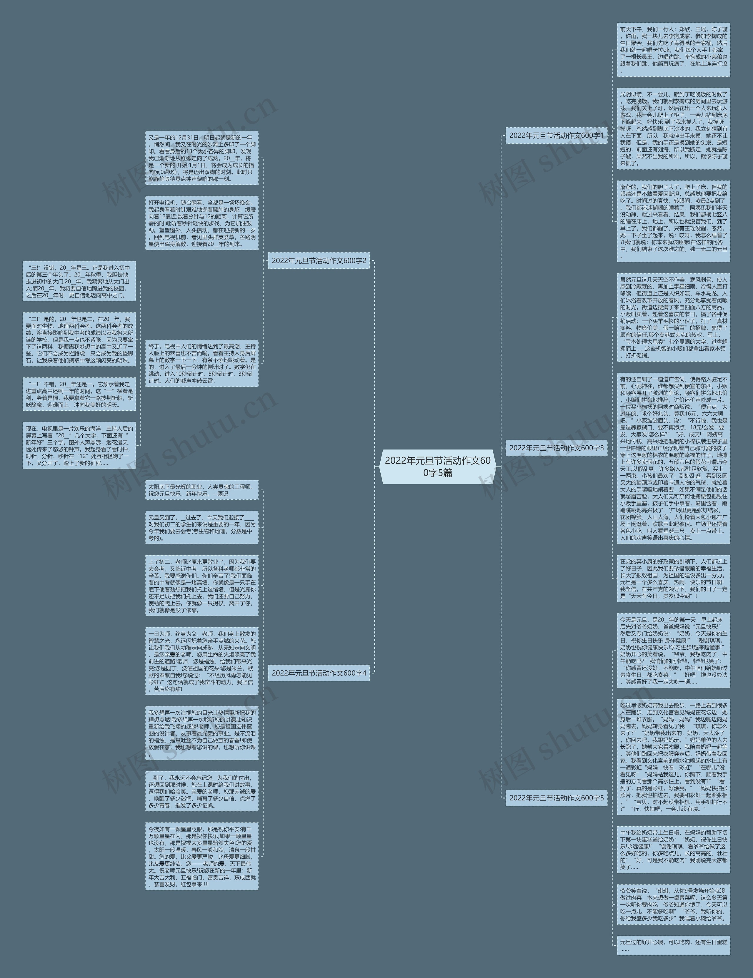 2022年元旦节活动作文600字5篇思维导图