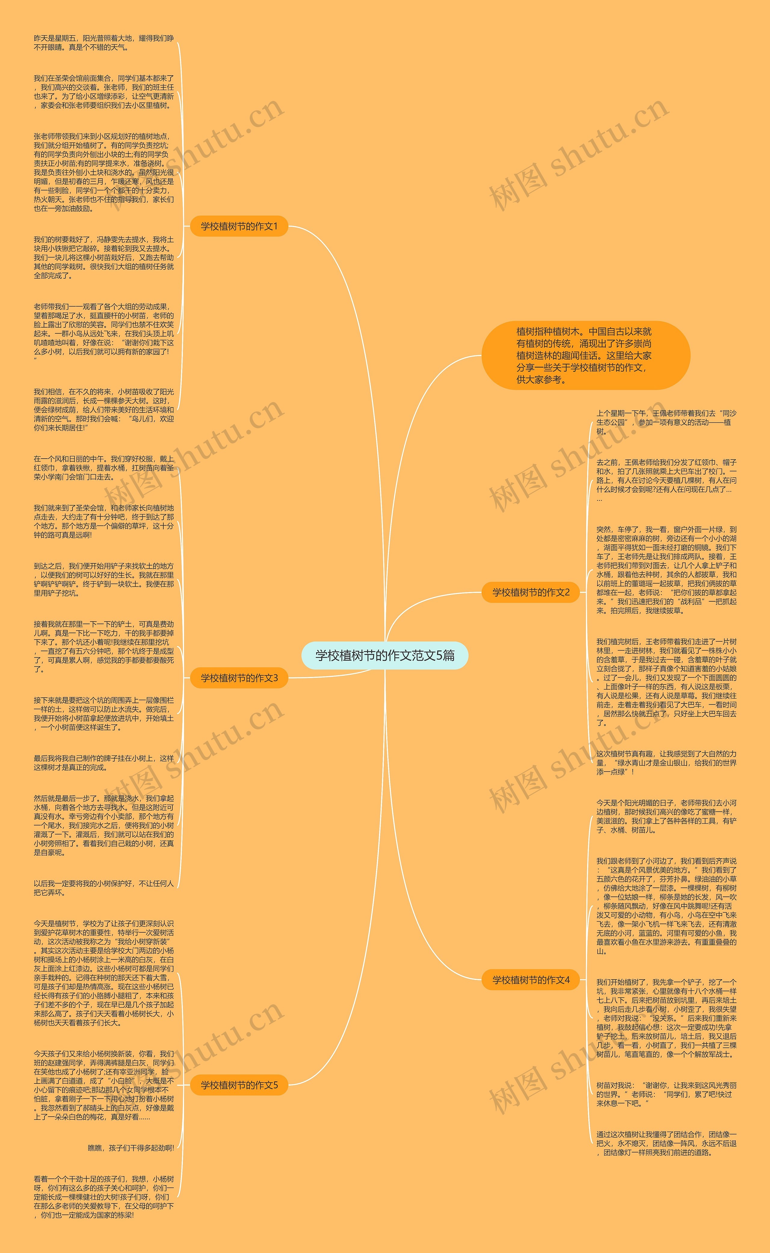 学校植树节的作文范文5篇思维导图