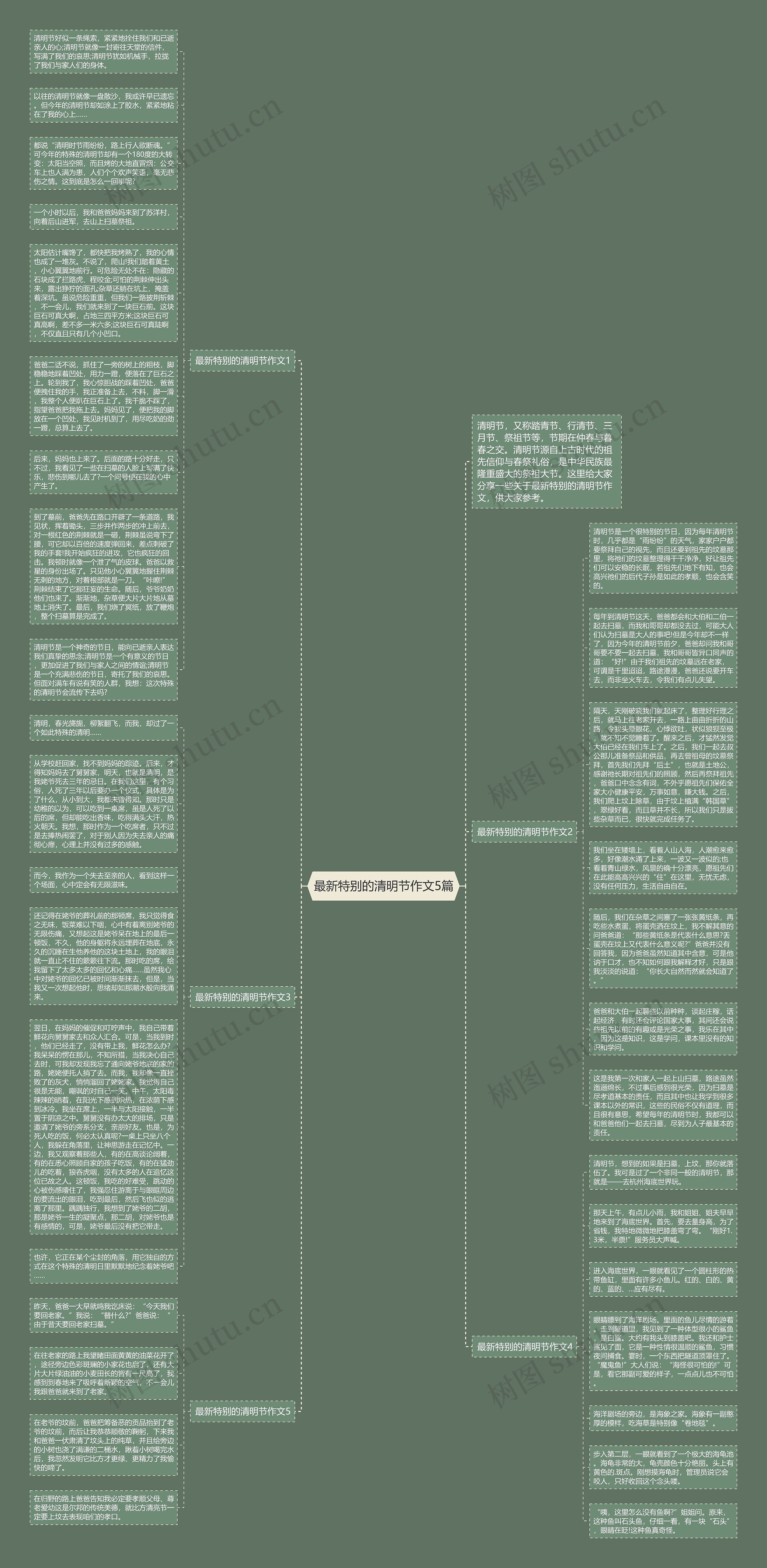 最新特别的清明节作文5篇思维导图