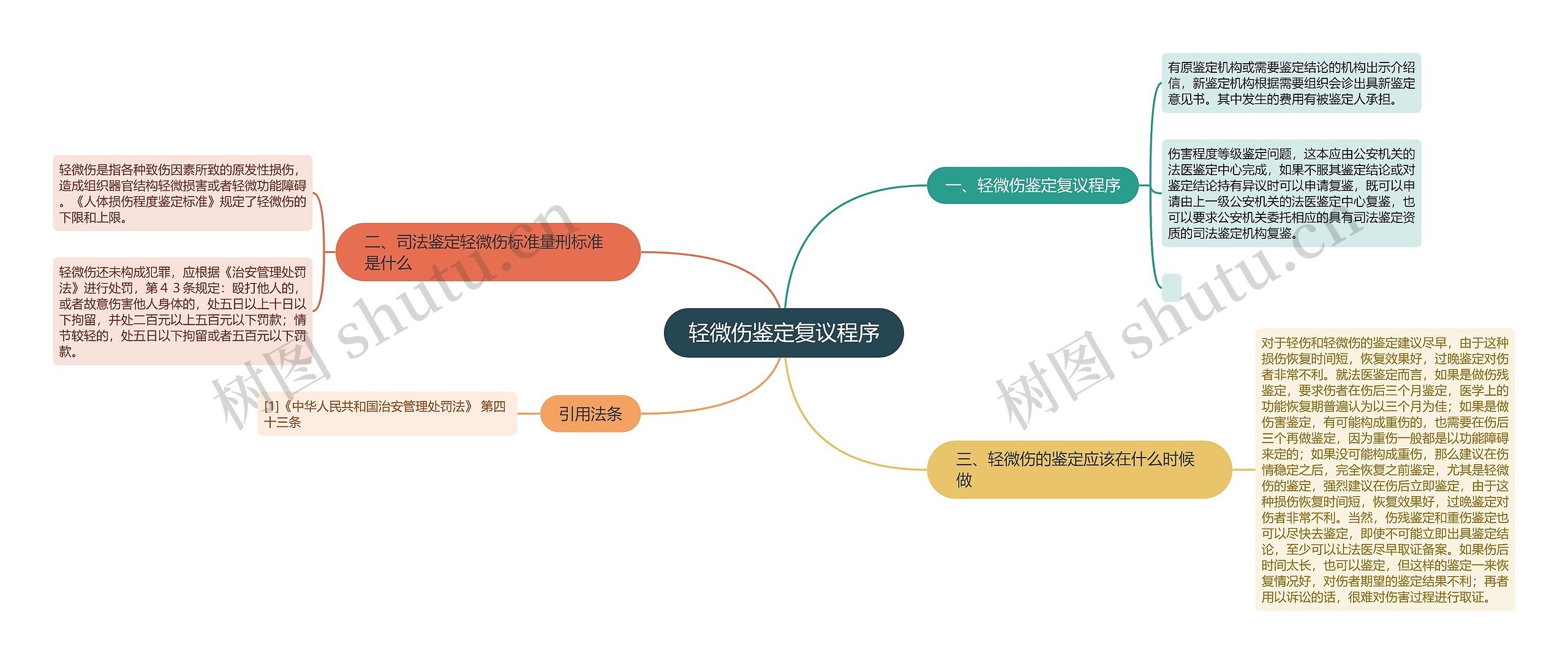 轻微伤鉴定复议程序