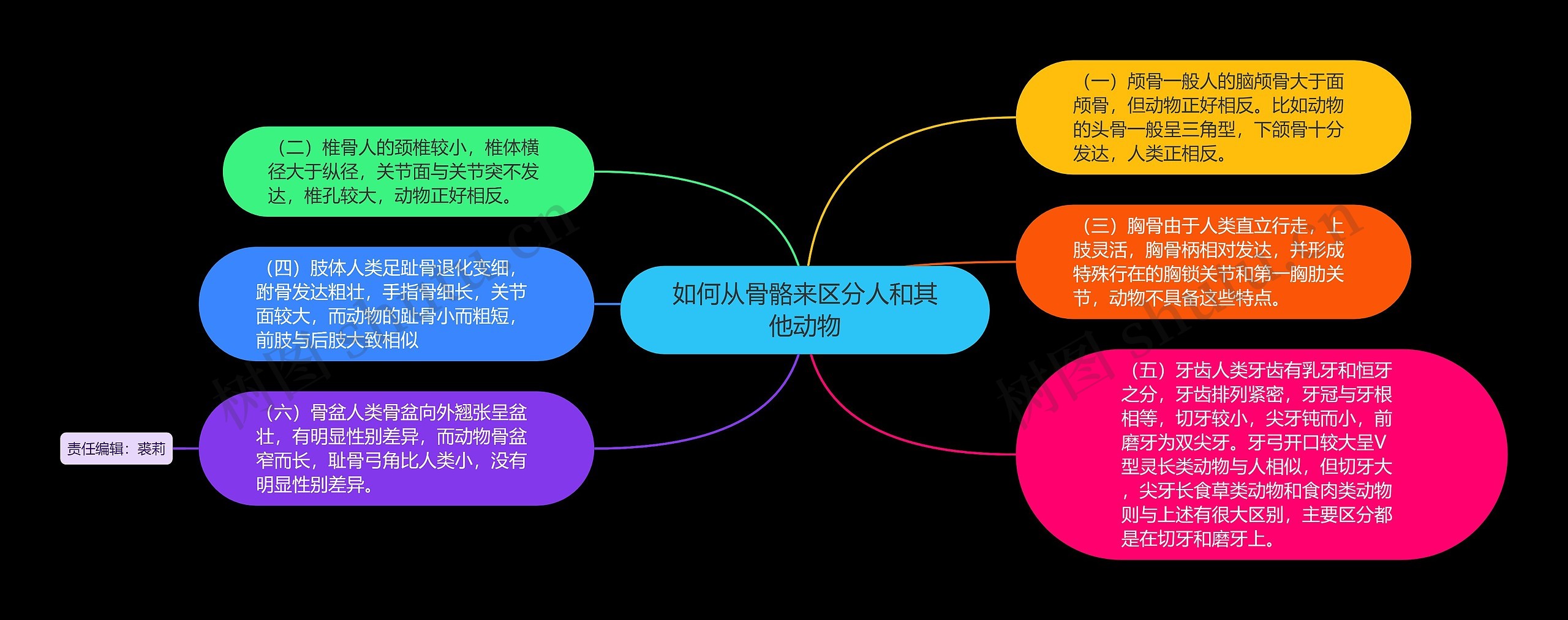 如何从骨骼来区分人和其他动物