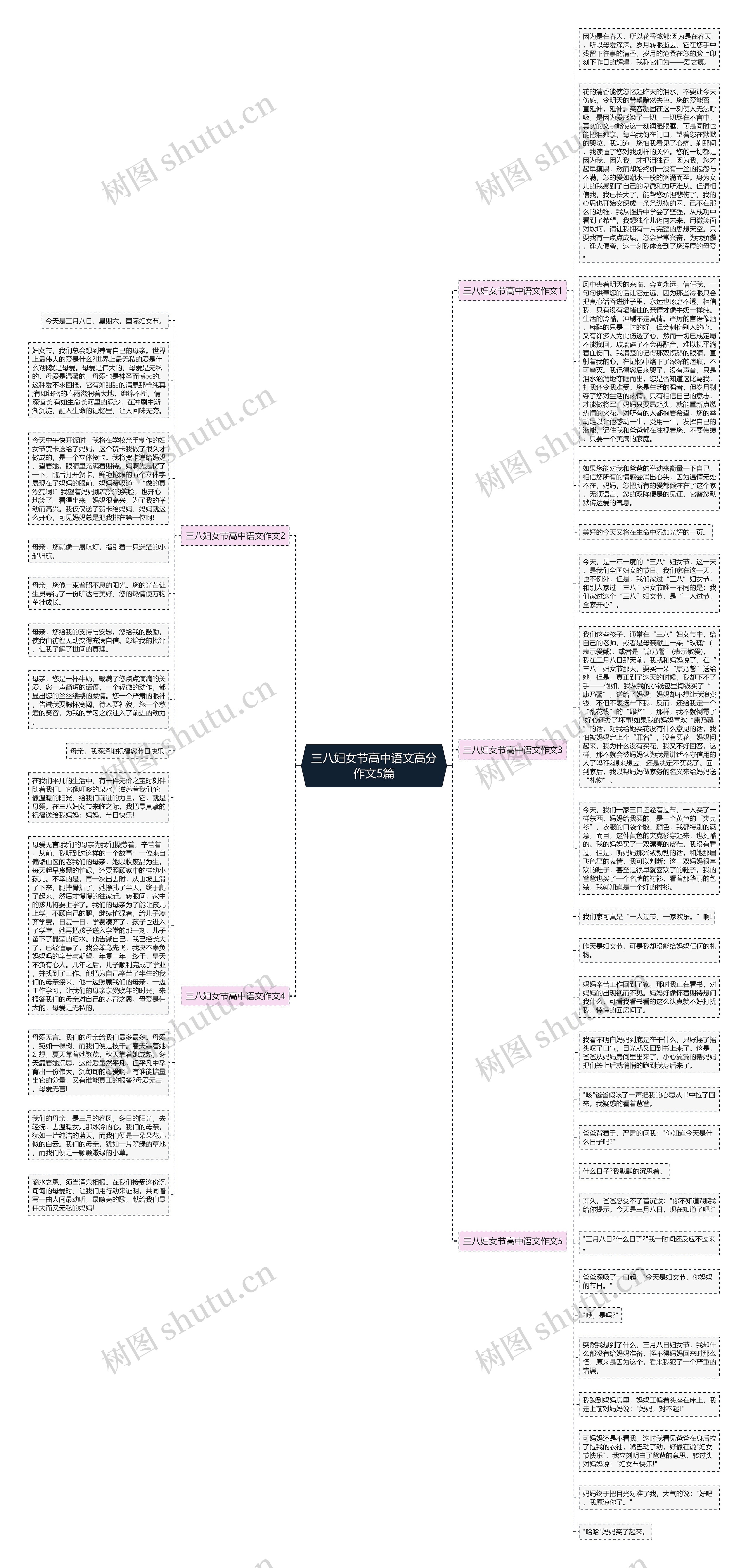 三八妇女节高中语文高分作文5篇思维导图