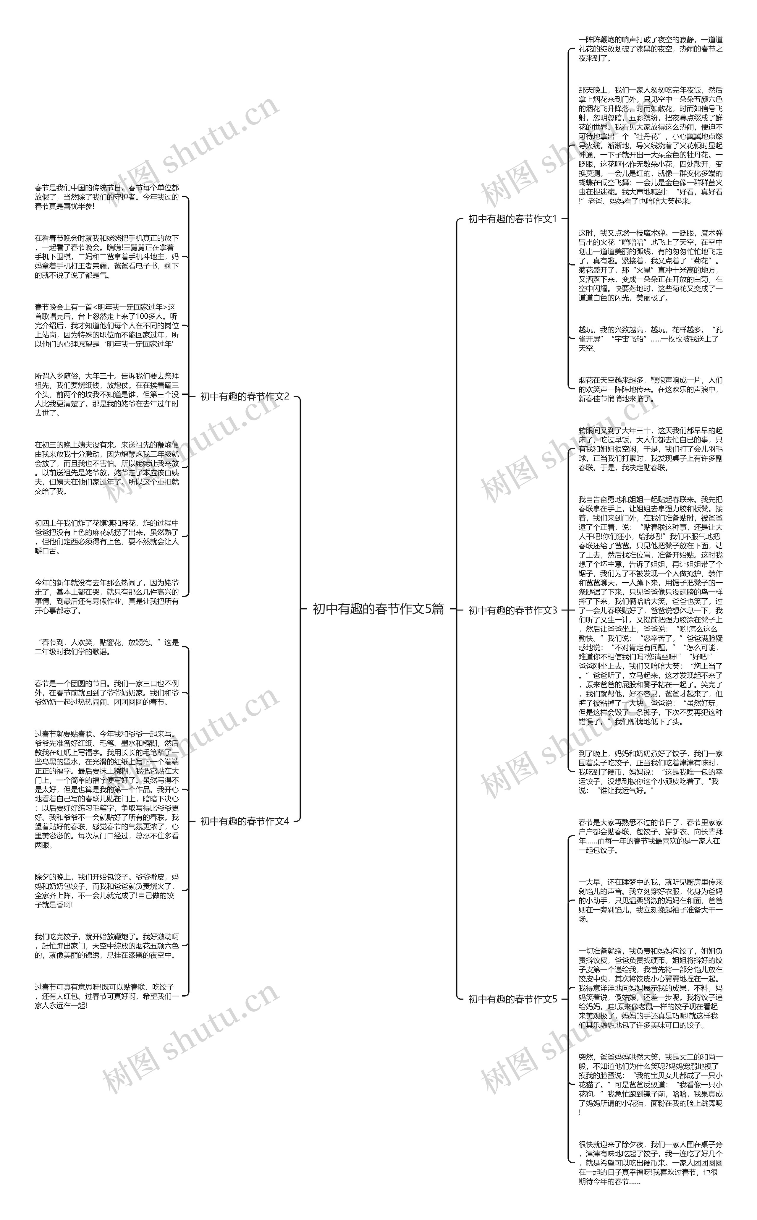 初中有趣的春节作文5篇思维导图