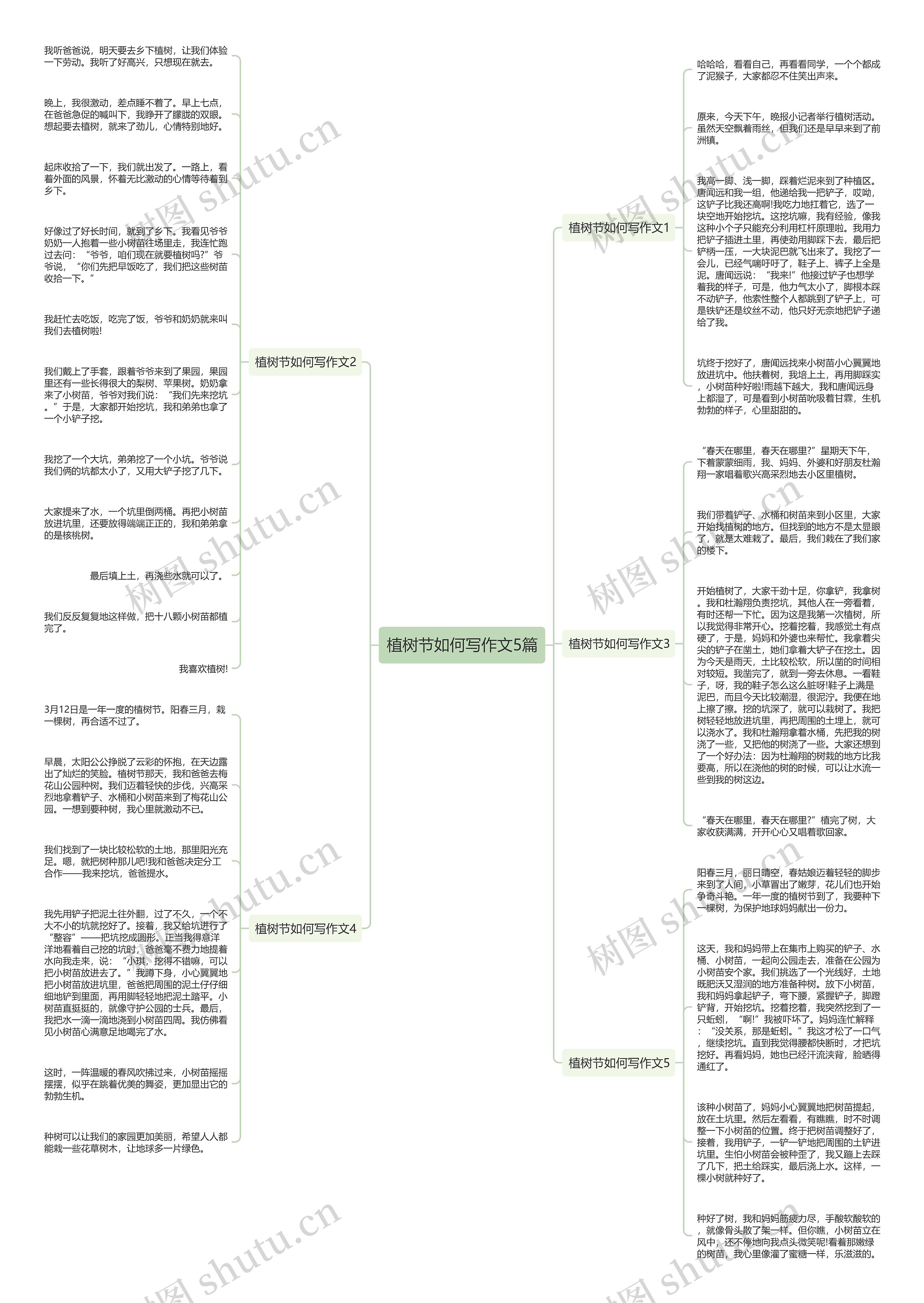 植树节如何写作文5篇思维导图
