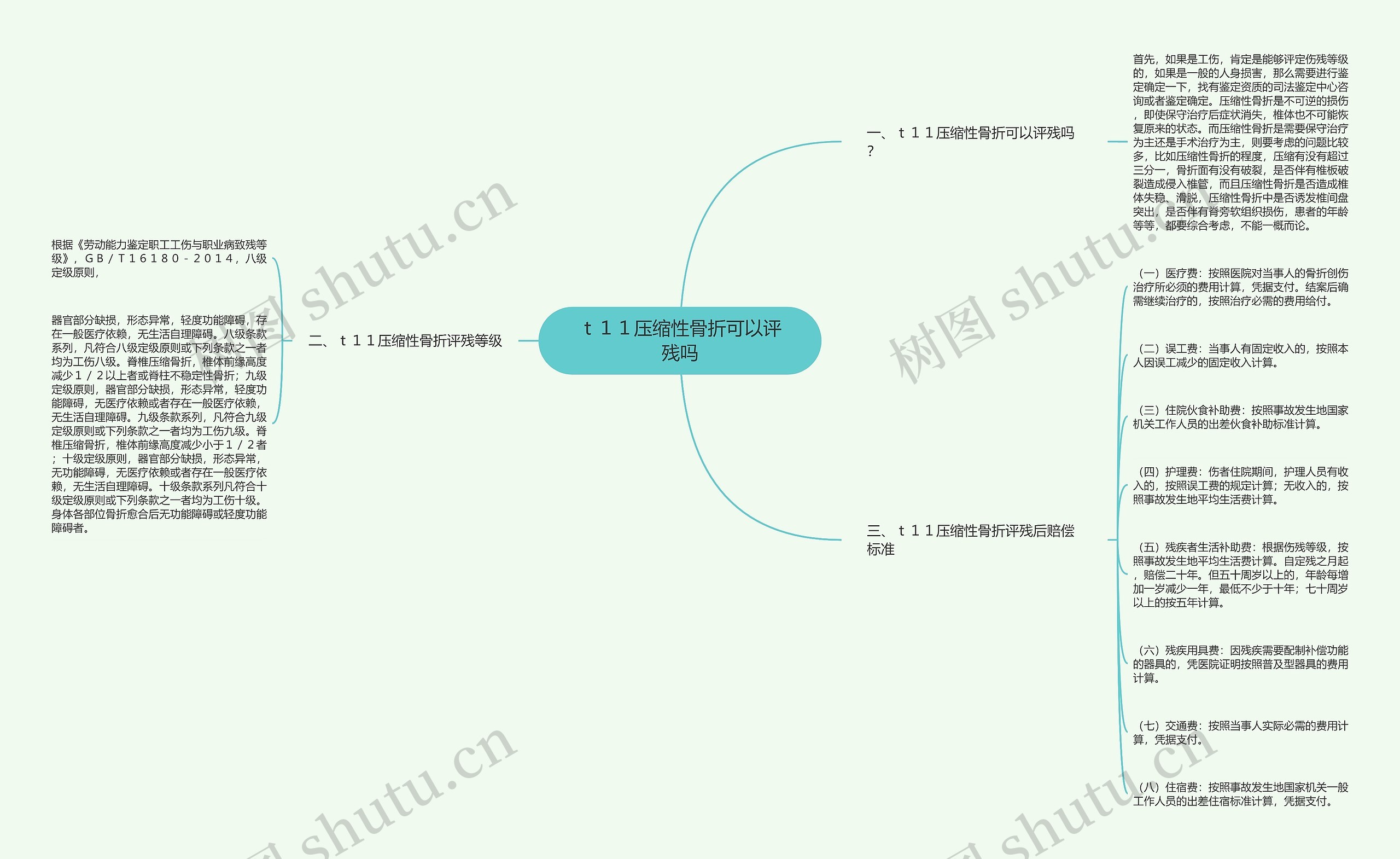 ｔ１１压缩性骨折可以评残吗思维导图