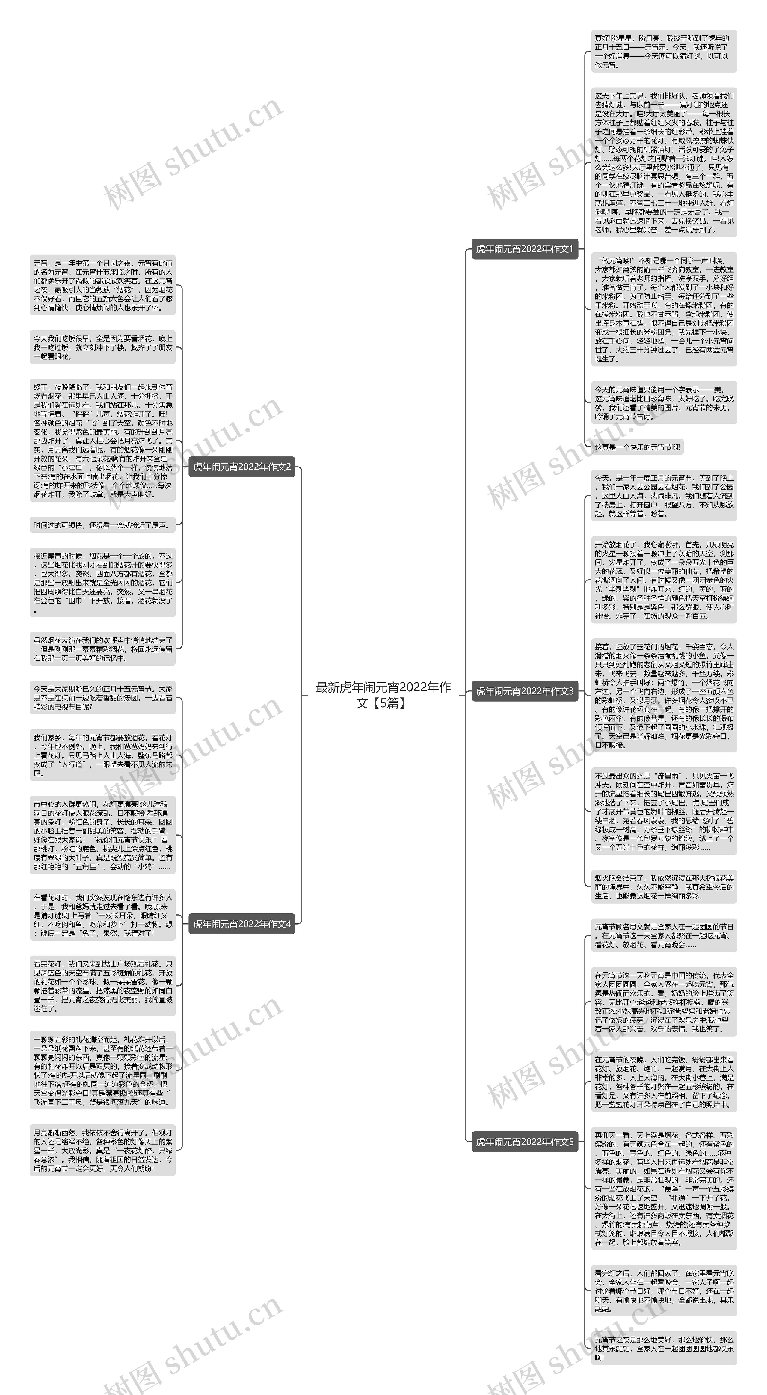 最新虎年闹元宵2022年作文【5篇】
