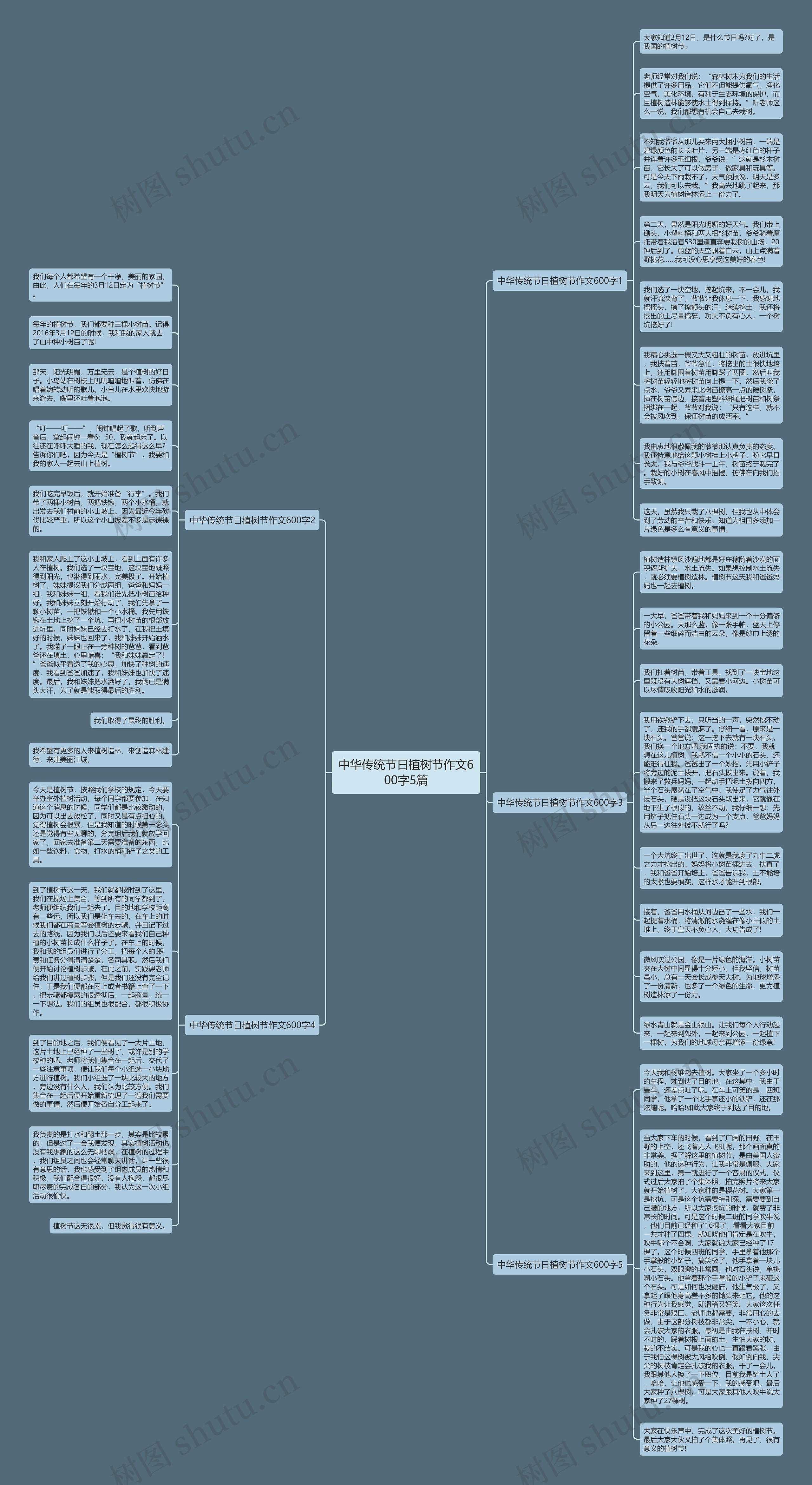 中华传统节日植树节作文600字5篇思维导图