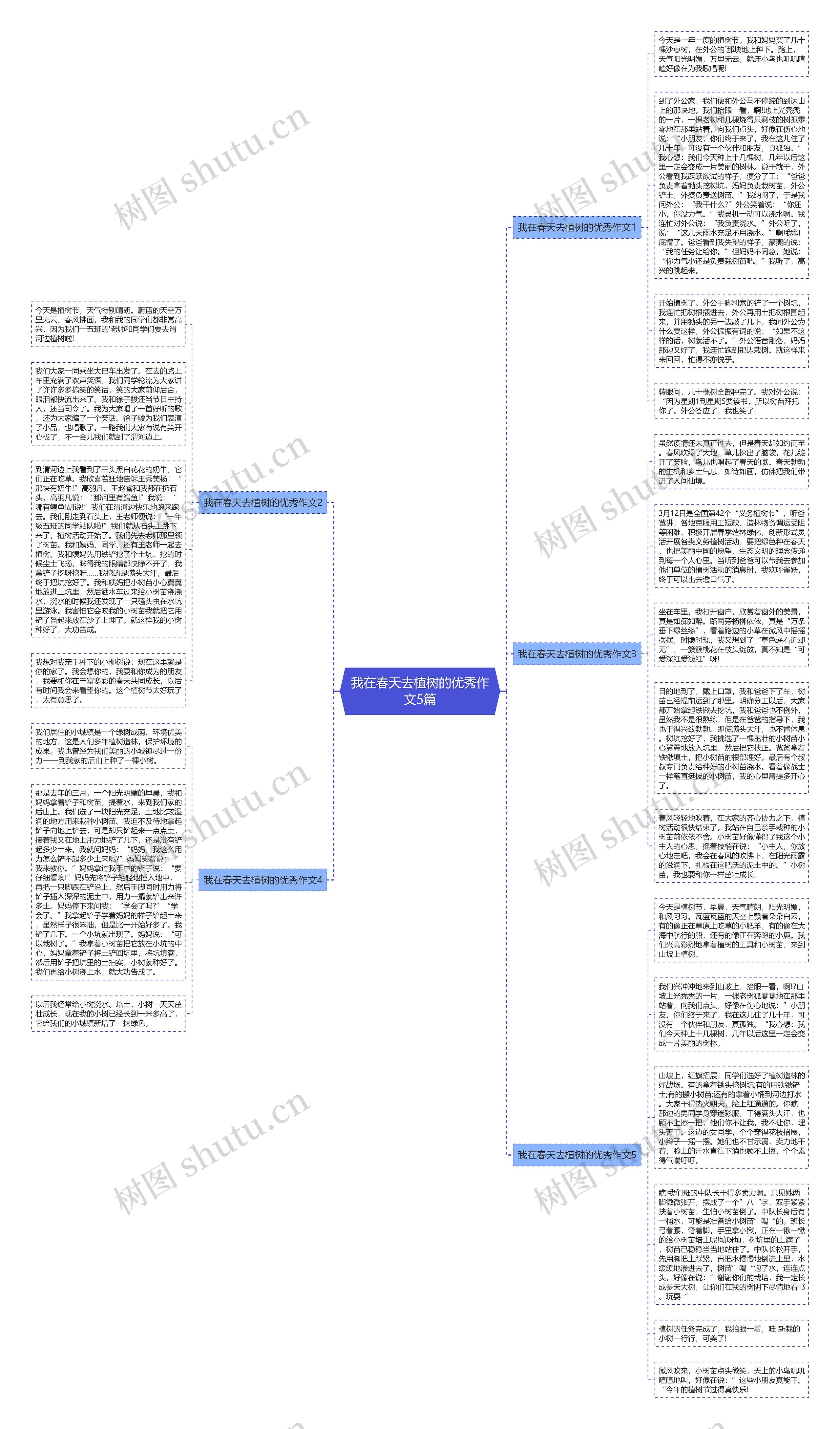 我在春天去植树的优秀作文5篇思维导图