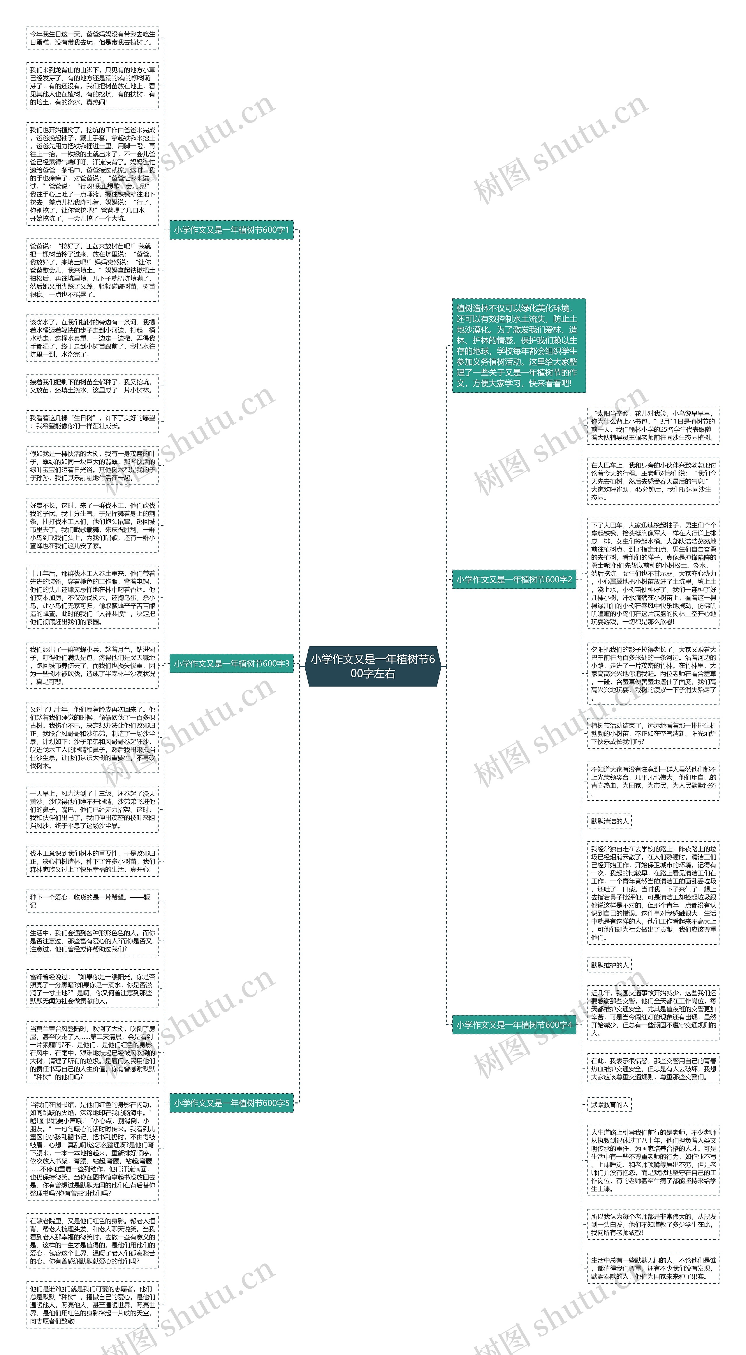 小学作文又是一年植树节600字左右思维导图