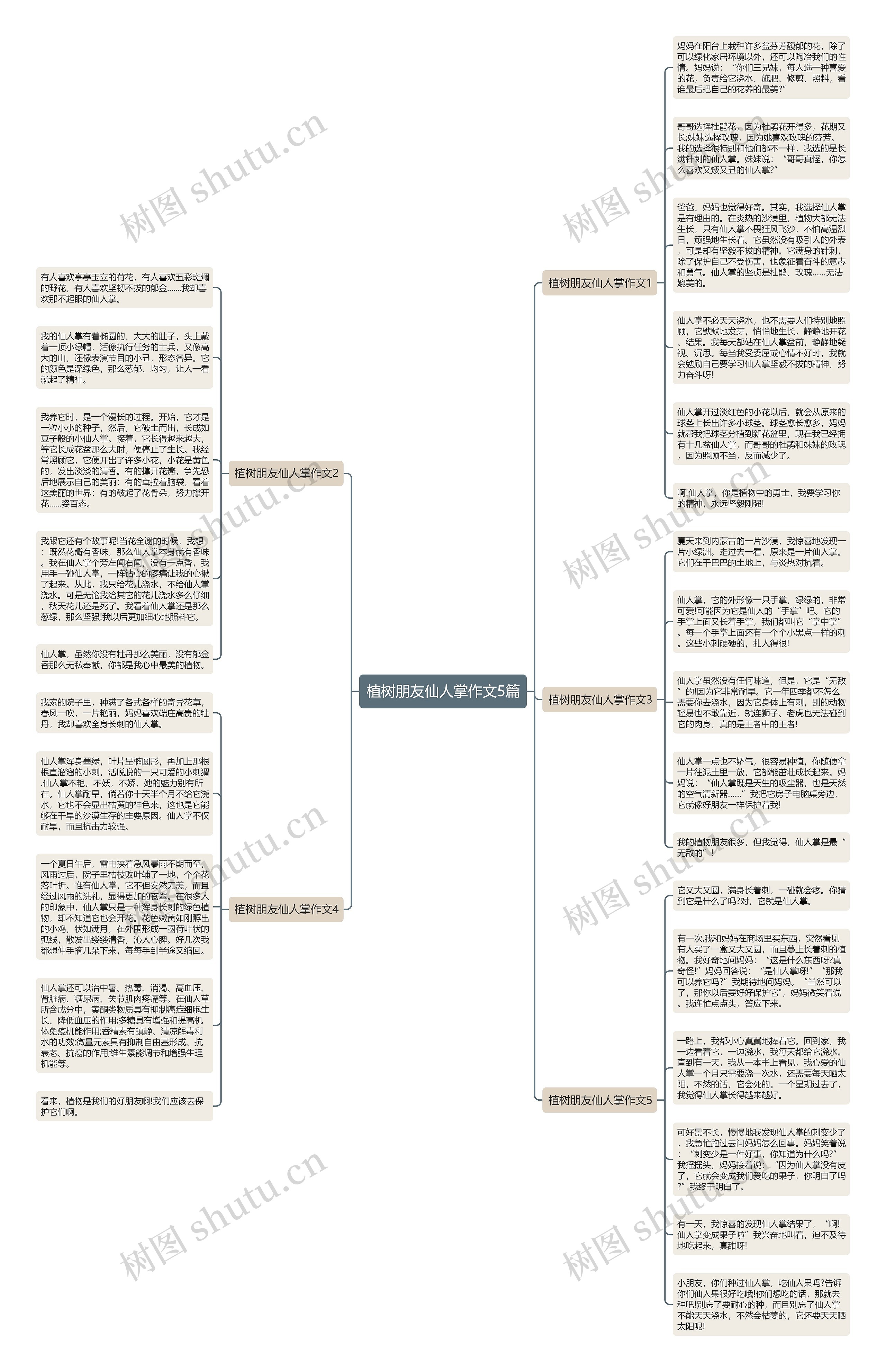 植树朋友仙人掌作文5篇思维导图