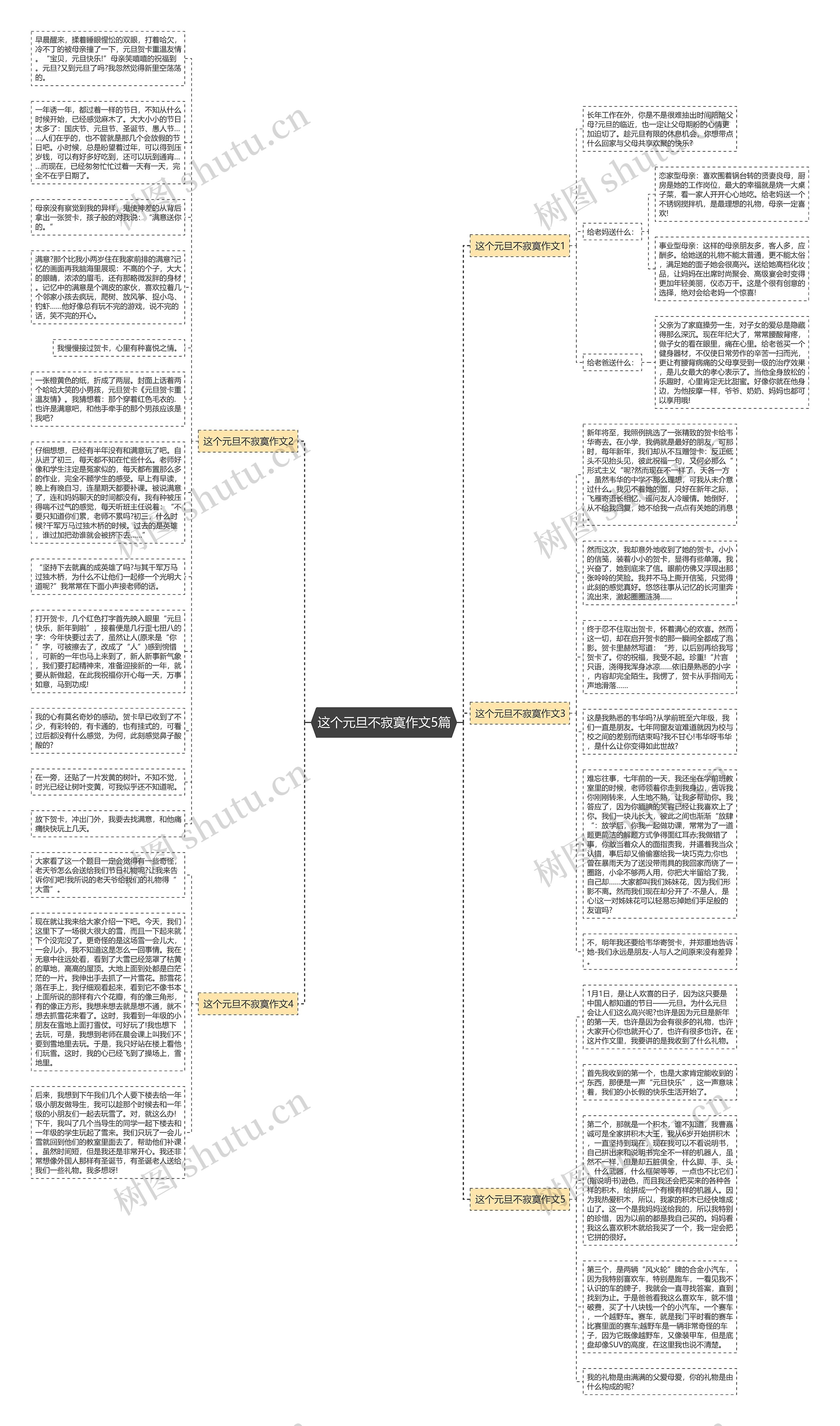 这个元旦不寂寞作文5篇思维导图
