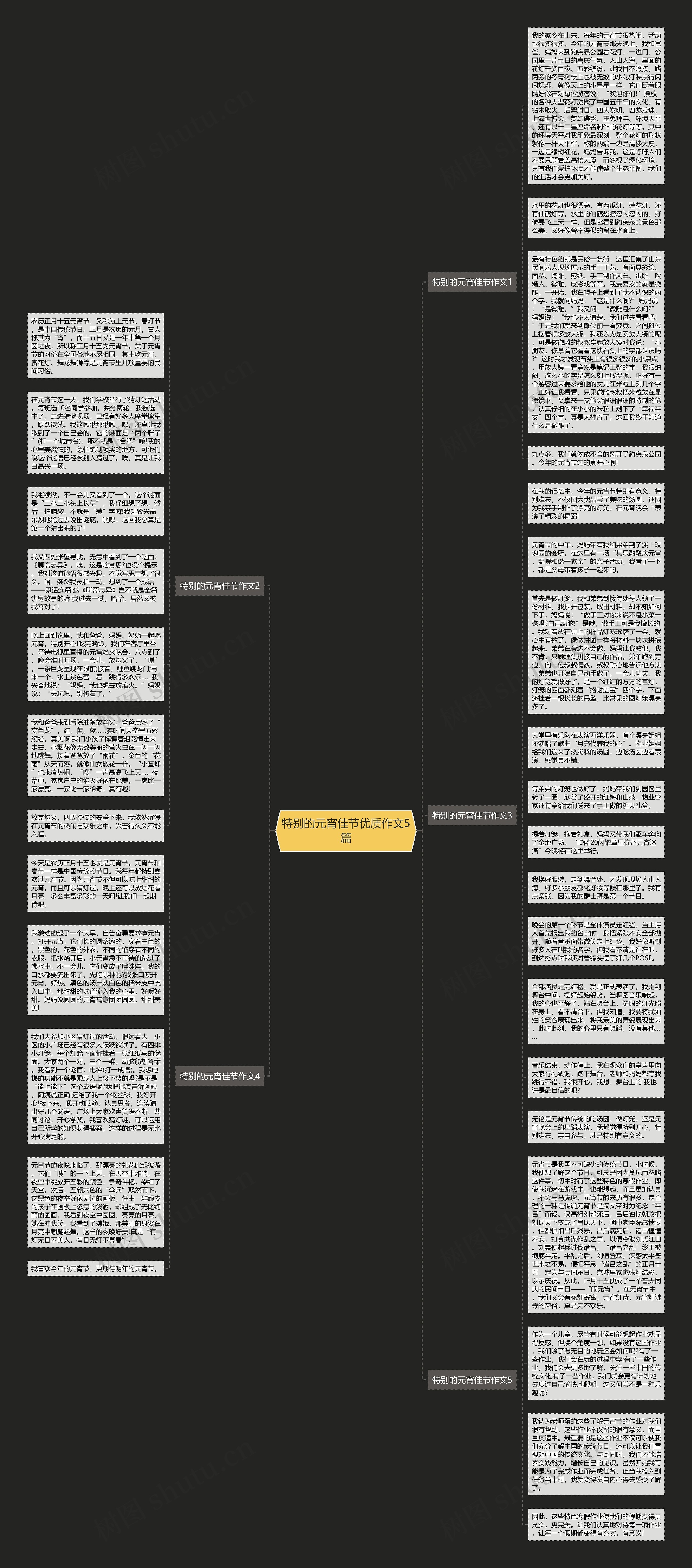 特别的元宵佳节优质作文5篇思维导图