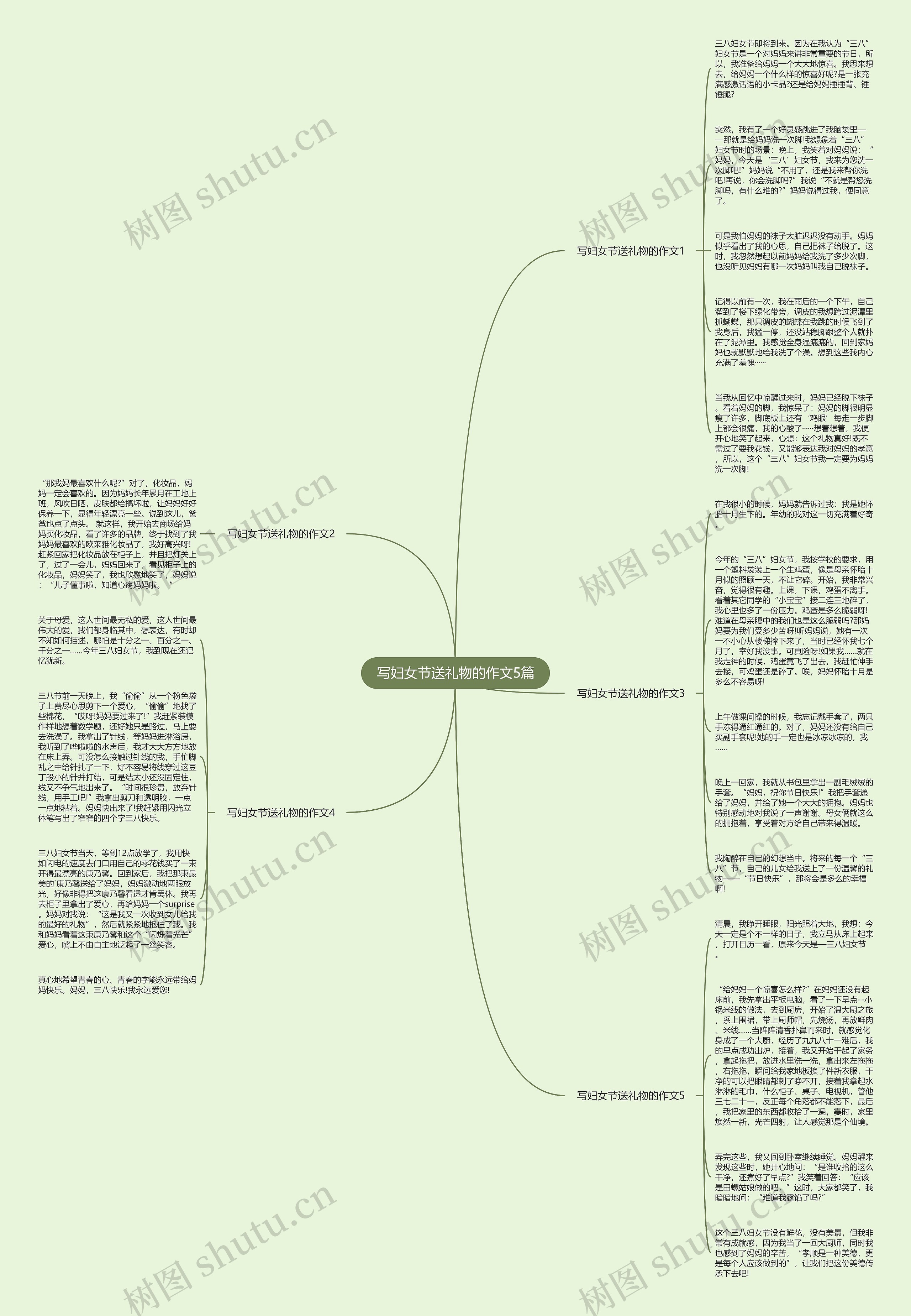 写妇女节送礼物的作文5篇思维导图