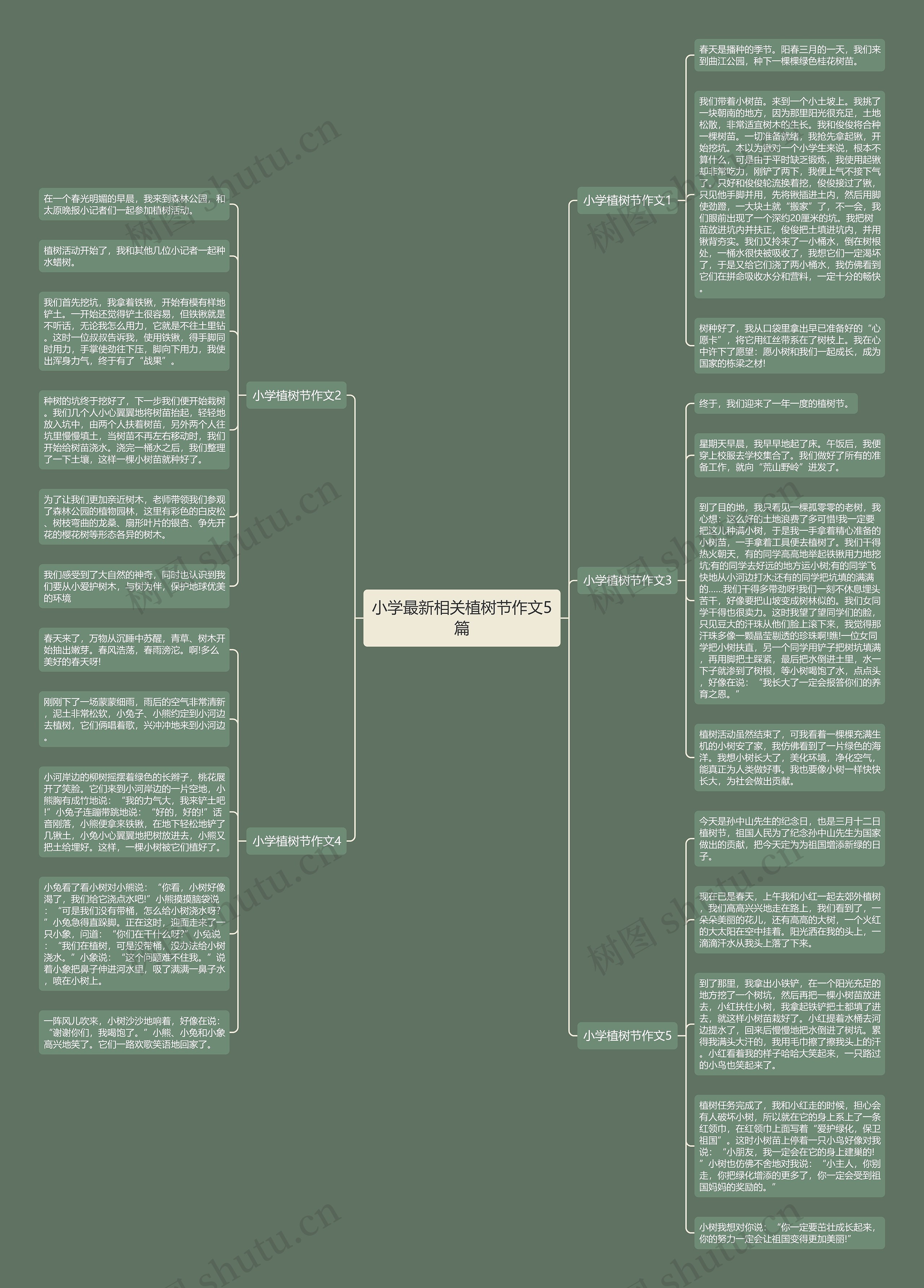 小学最新相关植树节作文5篇思维导图