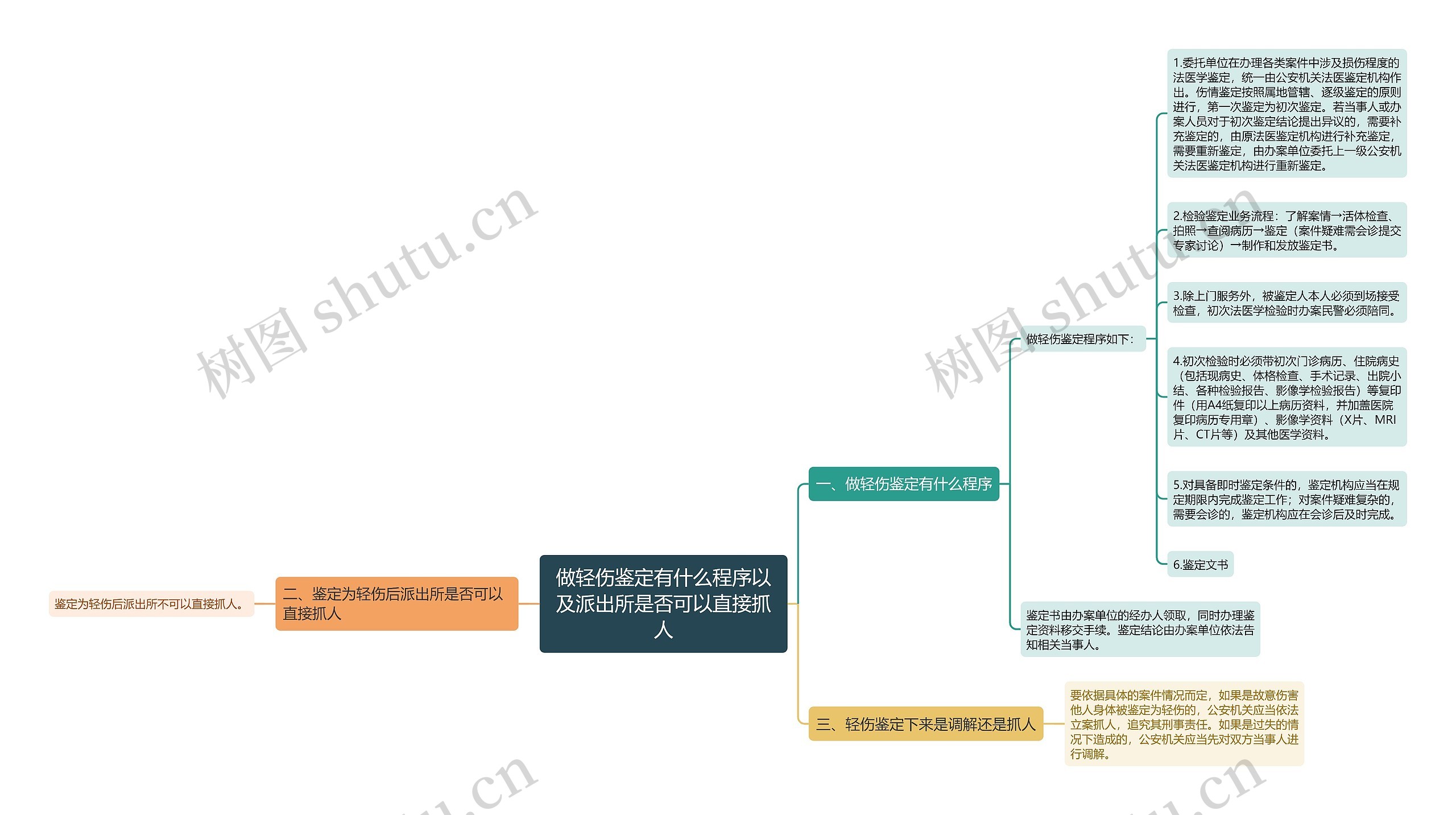 做轻伤鉴定有什么程序以及派出所是否可以直接抓人思维导图