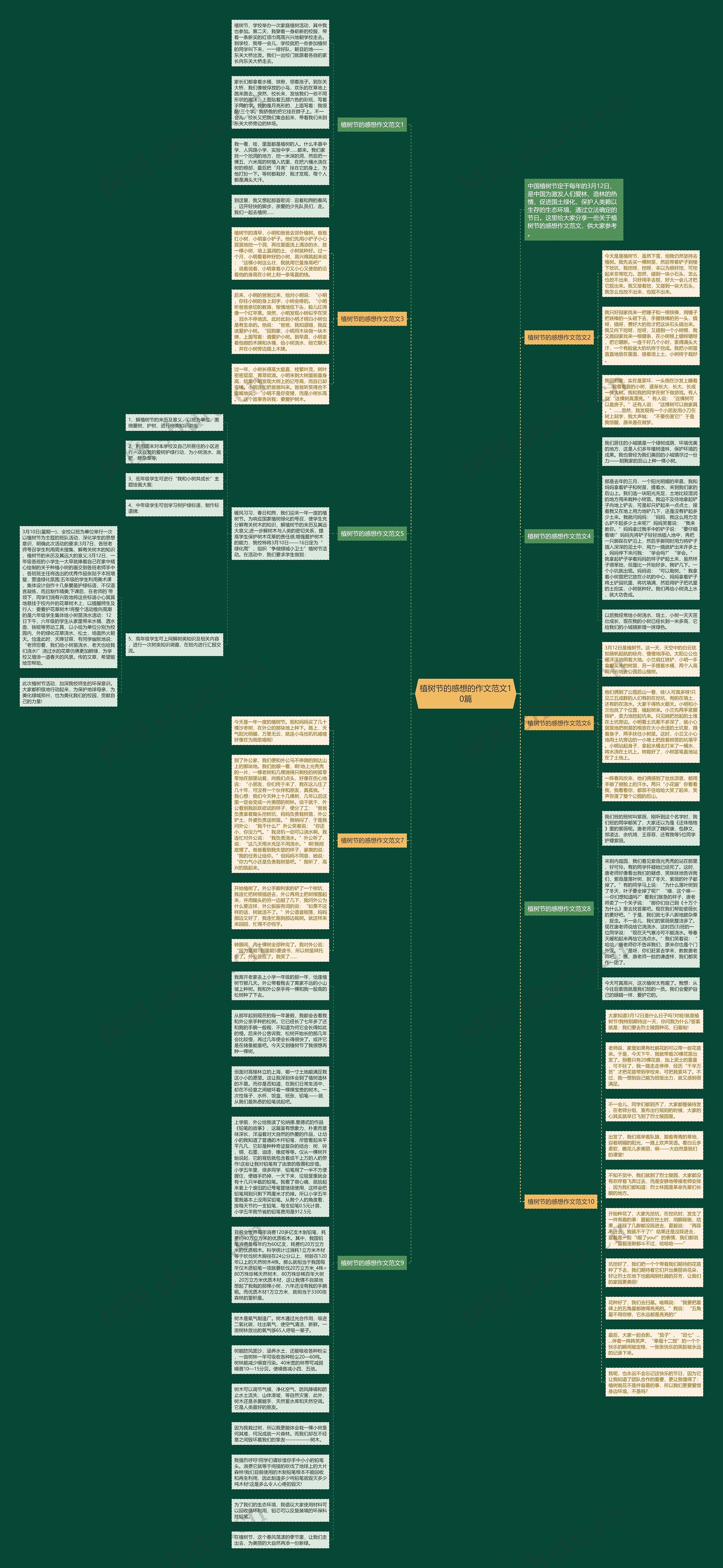 植树节的感想的作文范文10篇思维导图