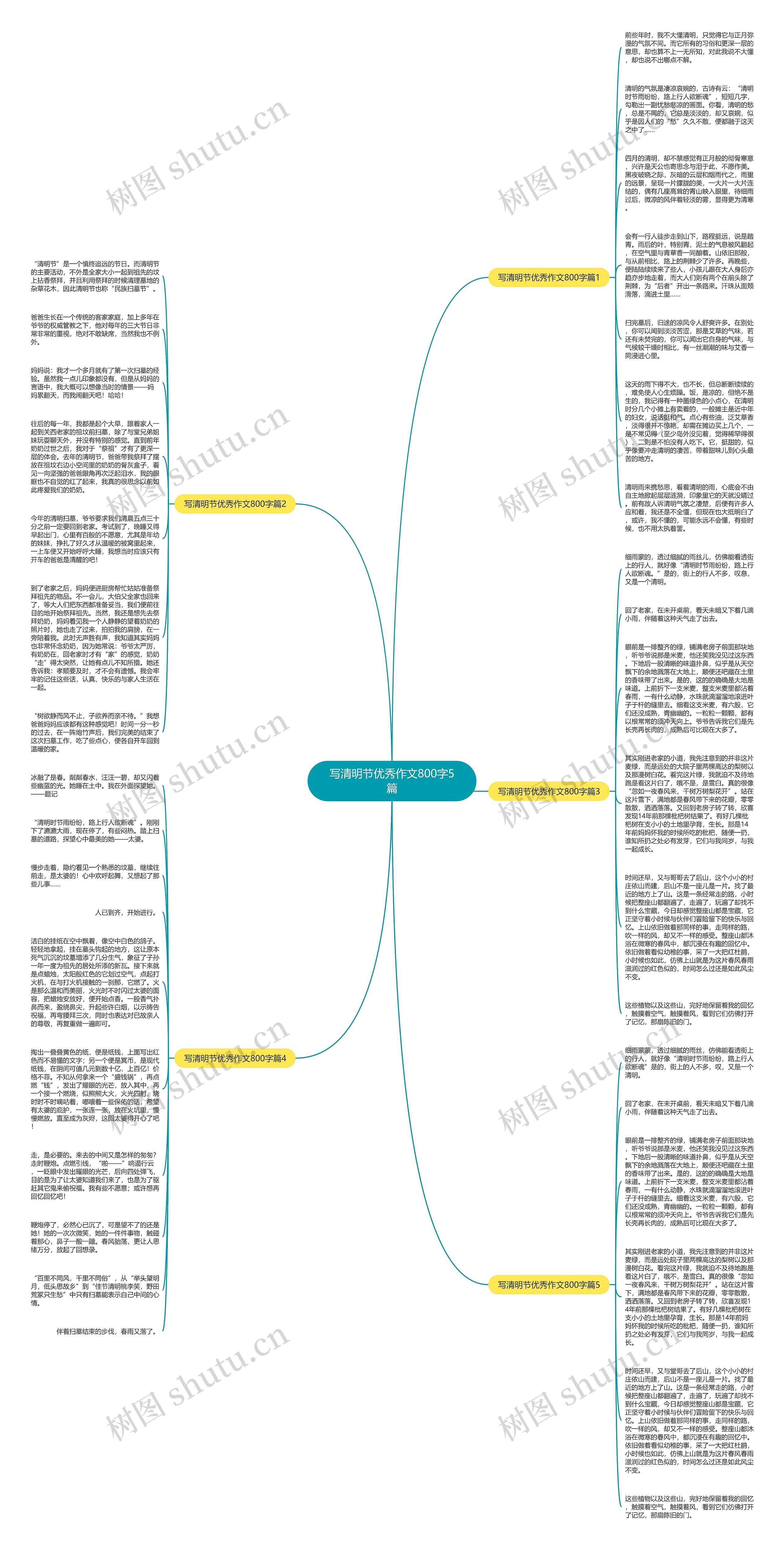 写清明节优秀作文800字5篇
