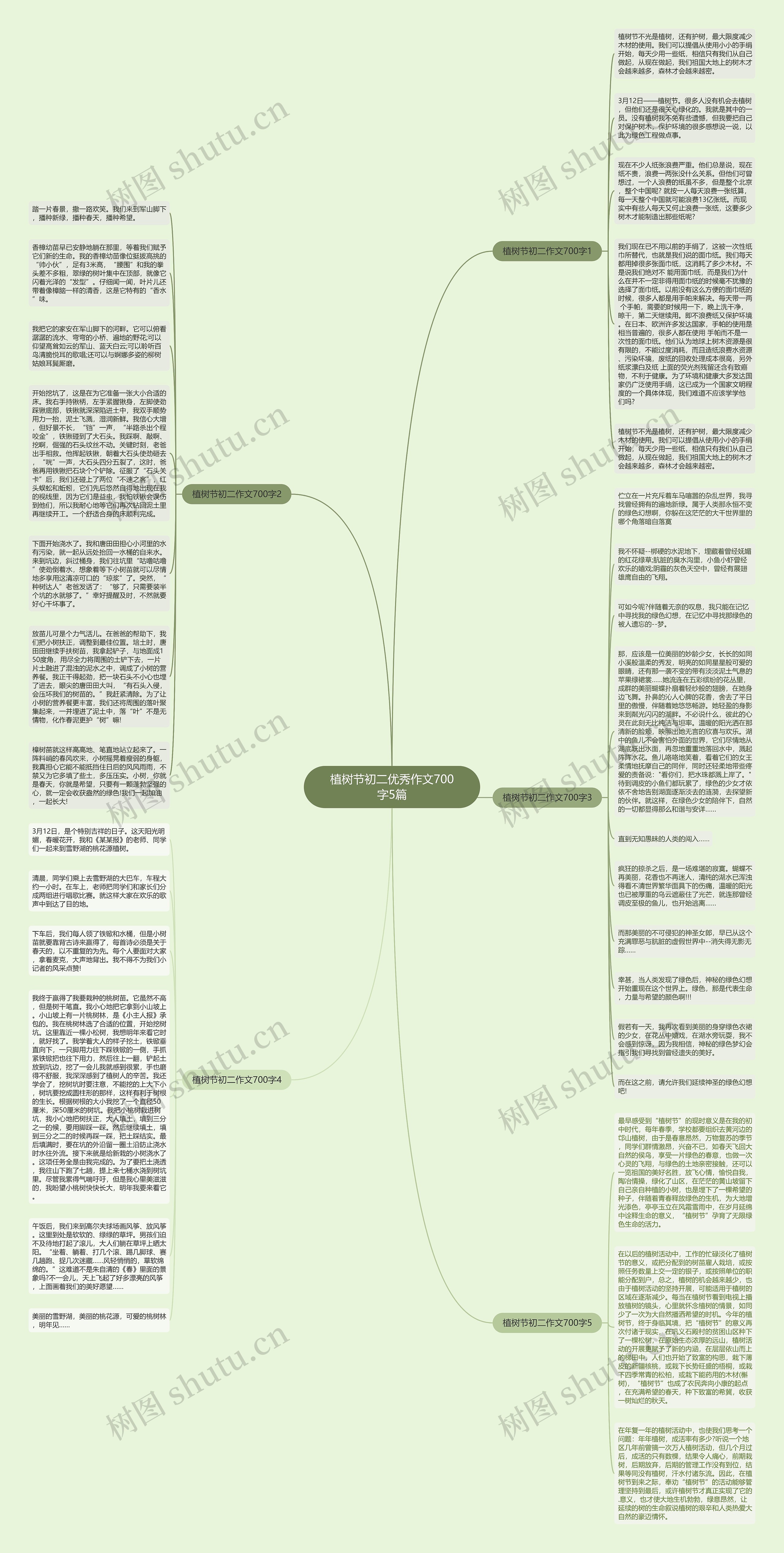 植树节初二优秀作文700字5篇思维导图