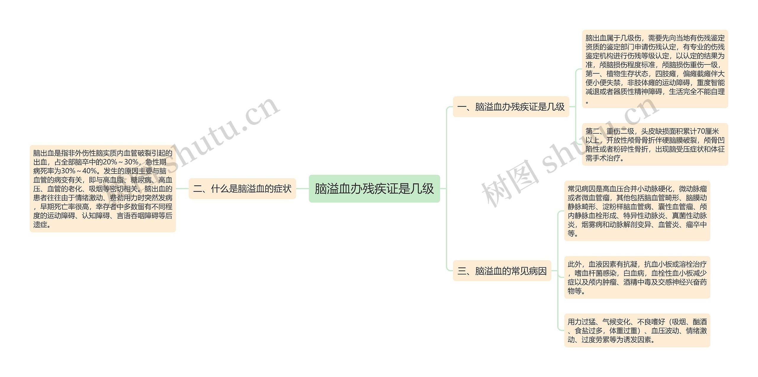 脑溢血办残疾证是几级思维导图