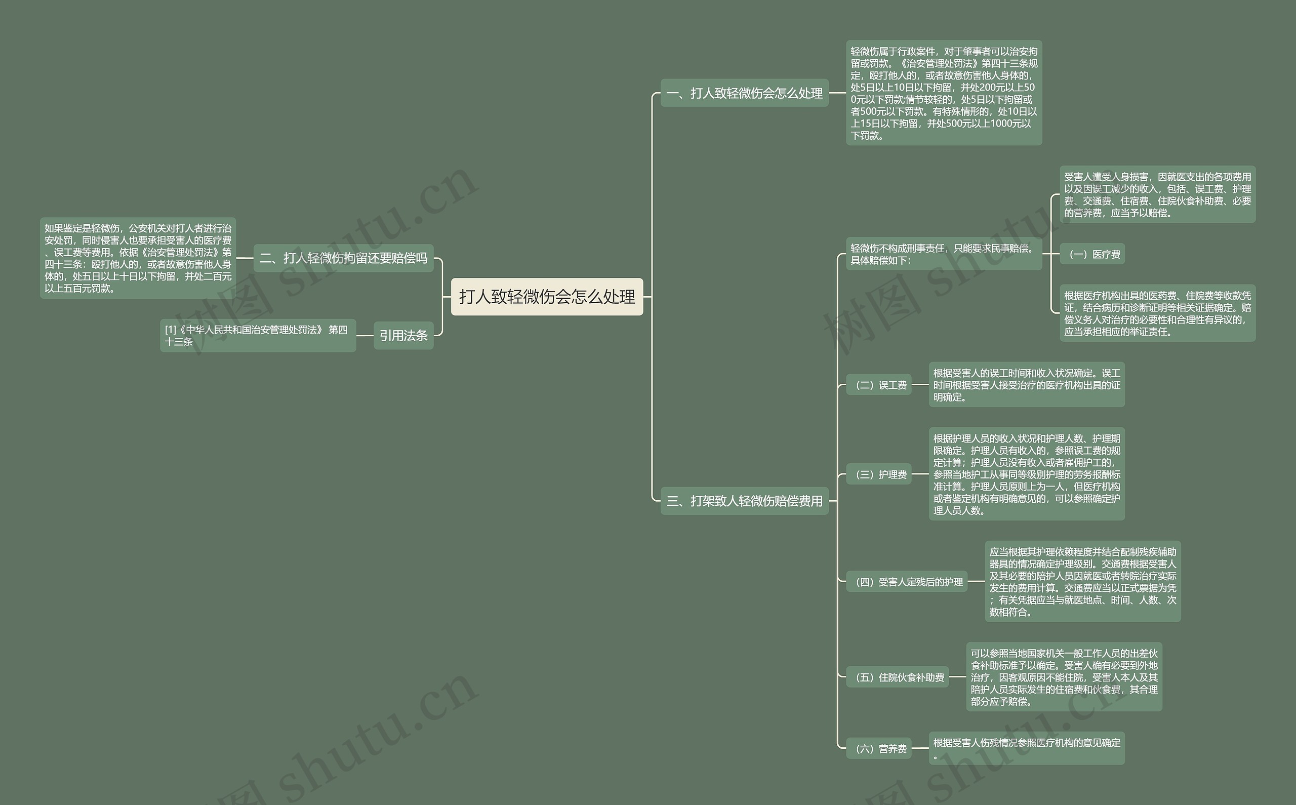 打人致轻微伤会怎么处理思维导图