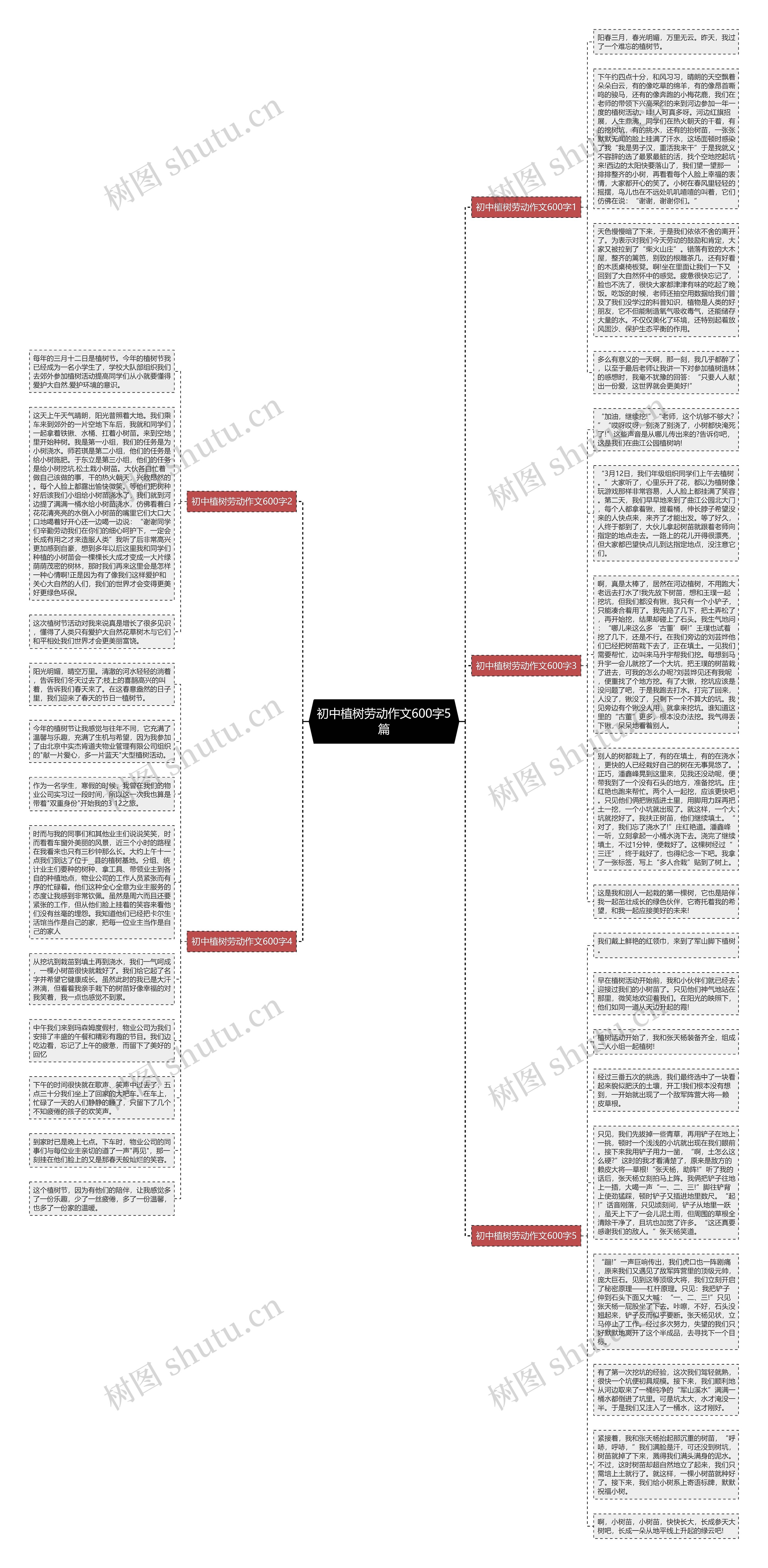 初中植树劳动作文600字5篇思维导图