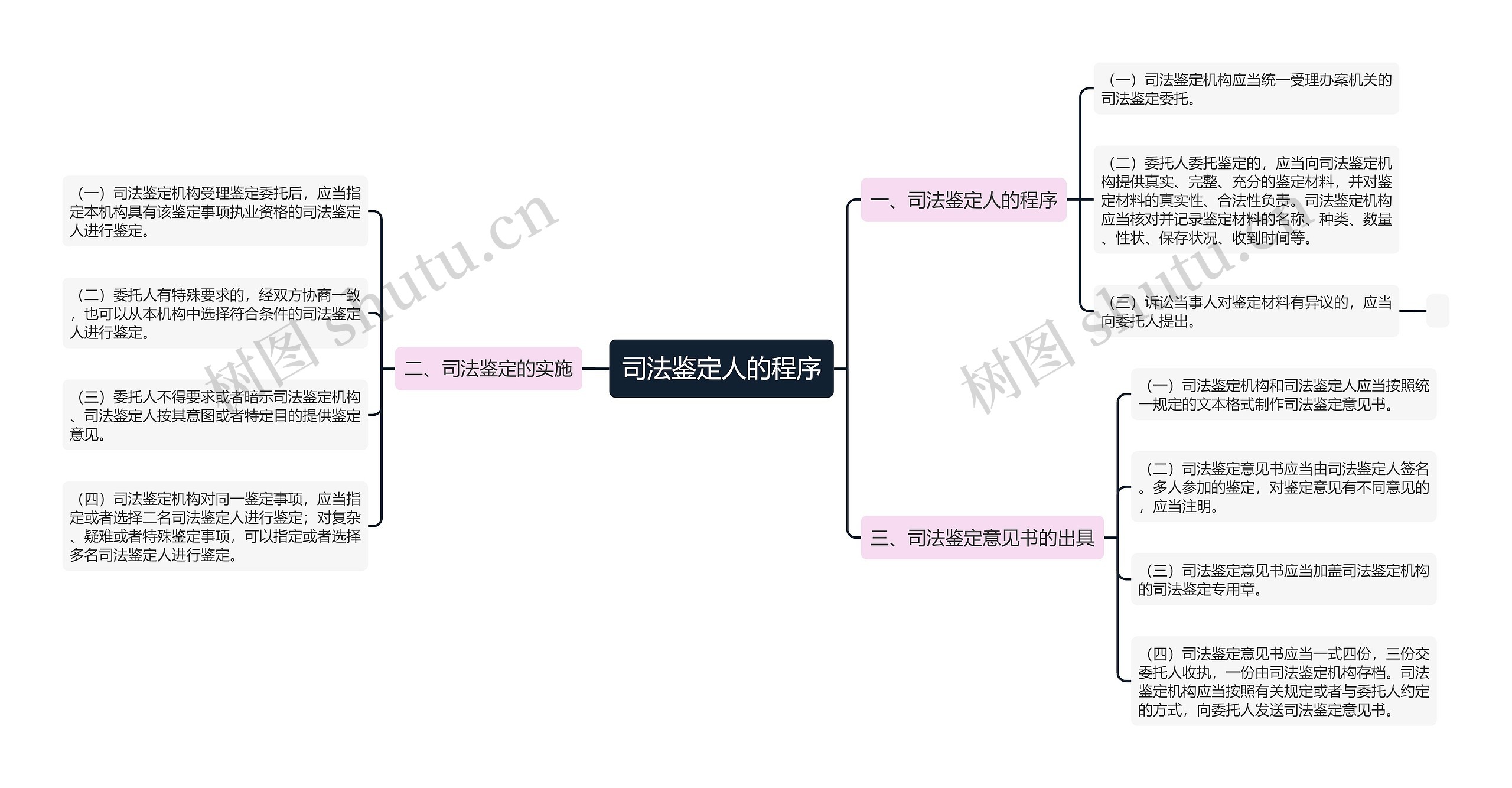 司法鉴定人的程序