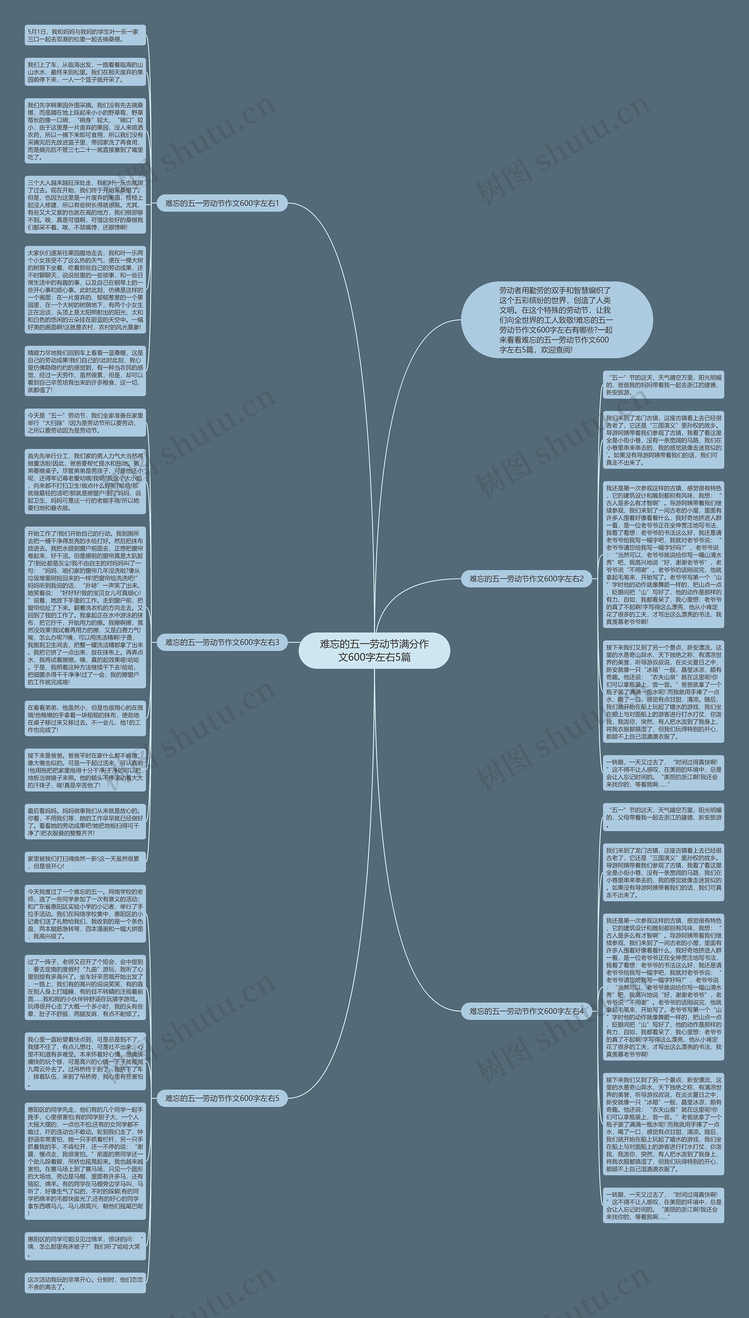 难忘的五一劳动节满分作文600字左右5篇思维导图